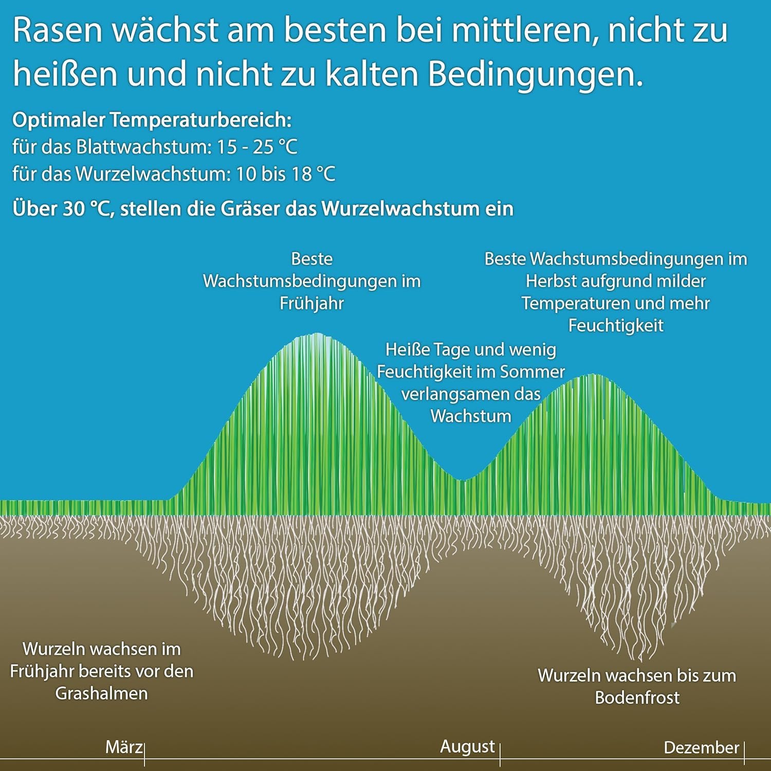 Substral 3in1 Komplettrasendünger 14kg für 400m2 Rasenfläche mit Unkrautvernichter und Moosvernichter — Ansicht 6