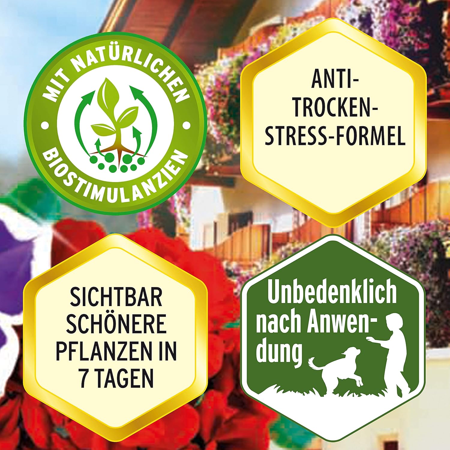 Substral Balkon- & Kübelpflanzen-Nahrung - 1,3 L — Ansicht 5