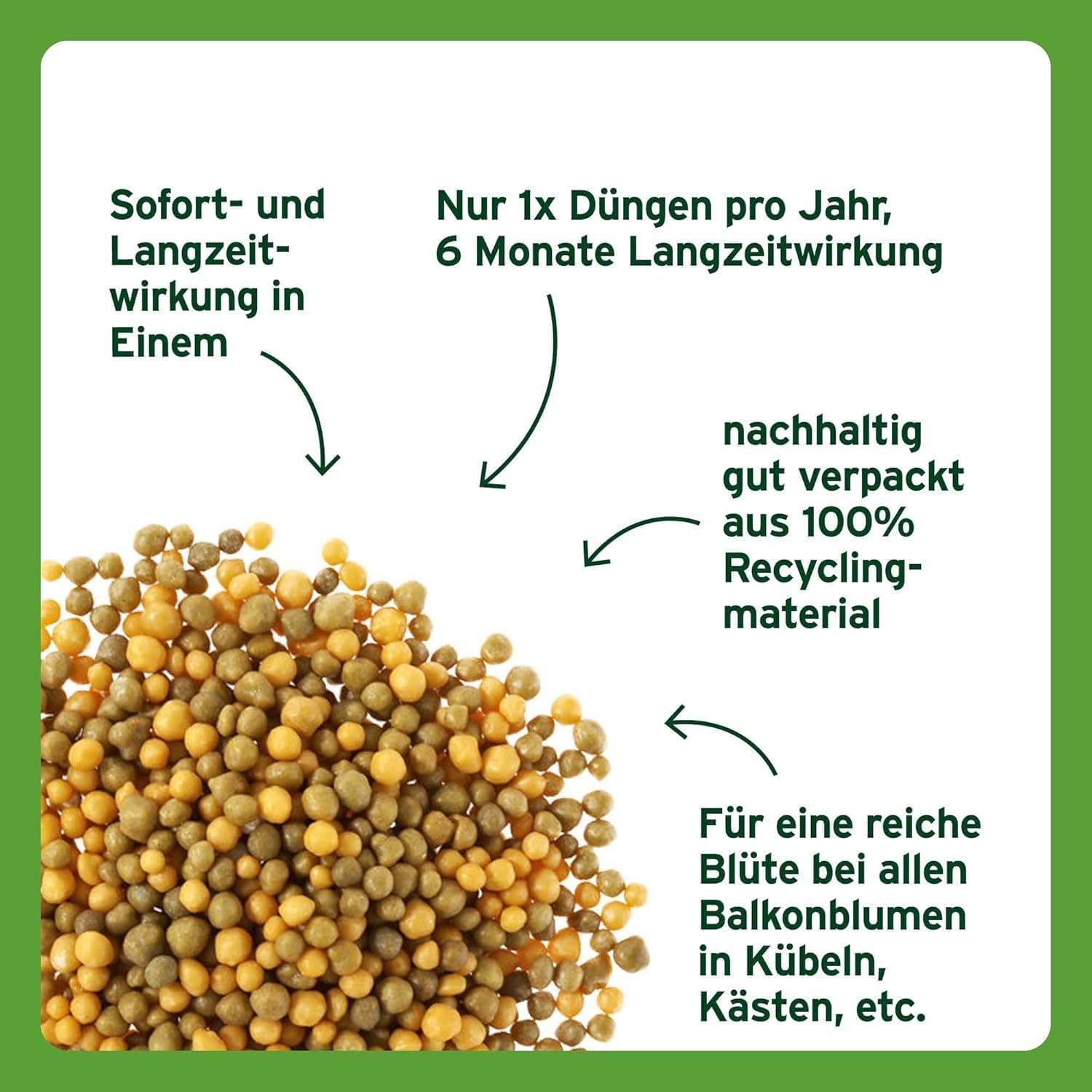 Substral Balkonblumen Langzeit Depotdünger für Geranie Surfinie Dipladenie Petunie Fuchsie Begonie u.a. 1,5kg — Ansicht 2