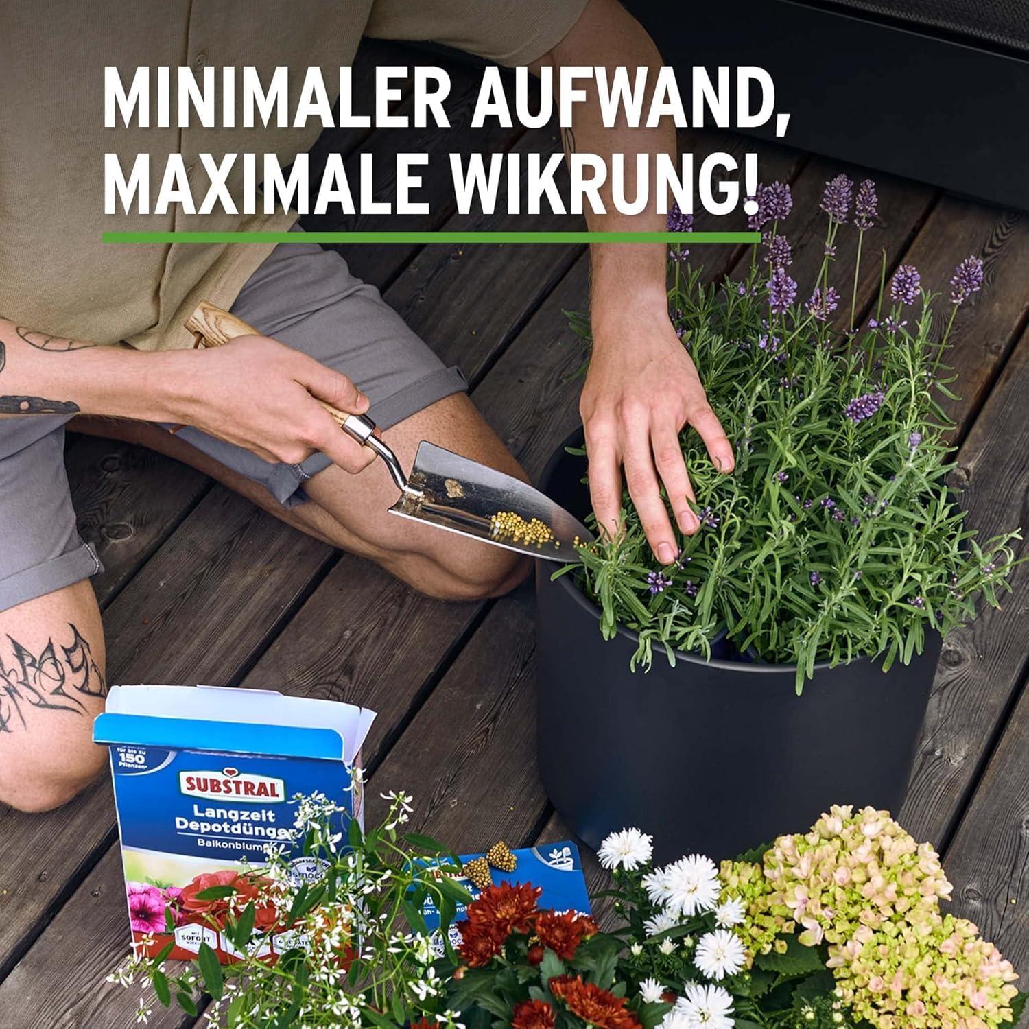Substral Balkonblumen Langzeit Depotdünger für Geranie Surfinie Dipladenie Petunie Fuchsie Begonie u.a. 1,5kg — Ansicht 3