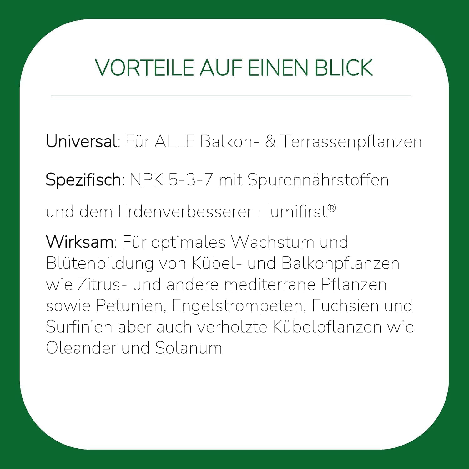 Substral Balkonpflanzen Nahrung Premium Flüssigdünger 2L Für üppige Blüten und Pflanzengesundheit — Ansicht 4