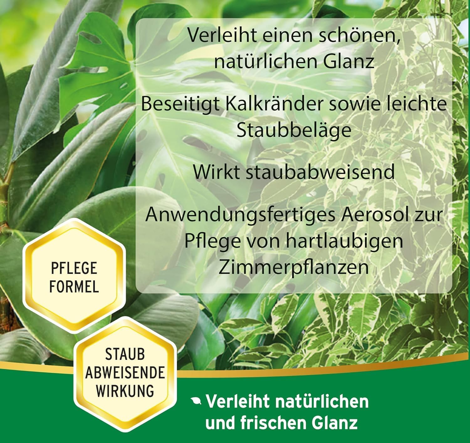 Substral Blattglanz Spray beseitigs Kalkränder und Staubbeläge wirkt staubabweisend für alle Grünpflanzen 200ml — Ansicht 2