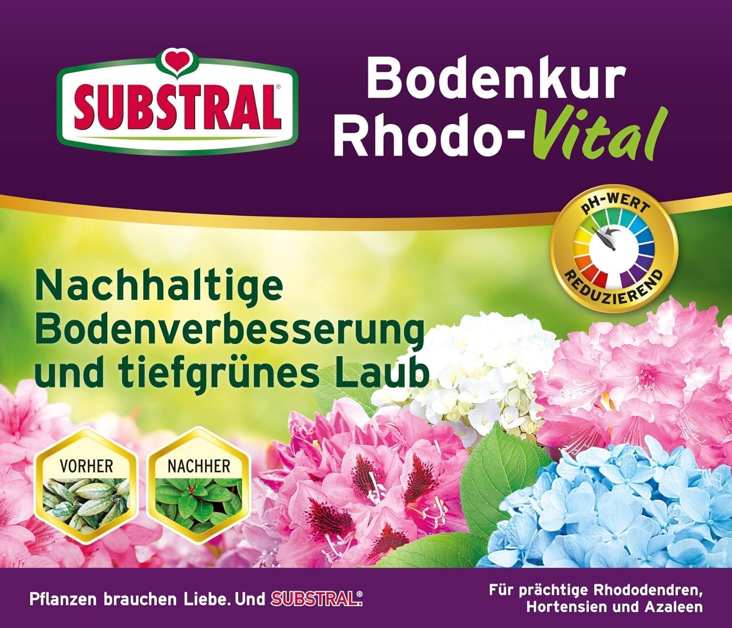 Substral Bodenkur Rhodo - Vital für Rhododendren Azaleen Hortensien Himbeeren Preiselbeeren Heidelbeeren u.a. 1kg — Ansicht 2