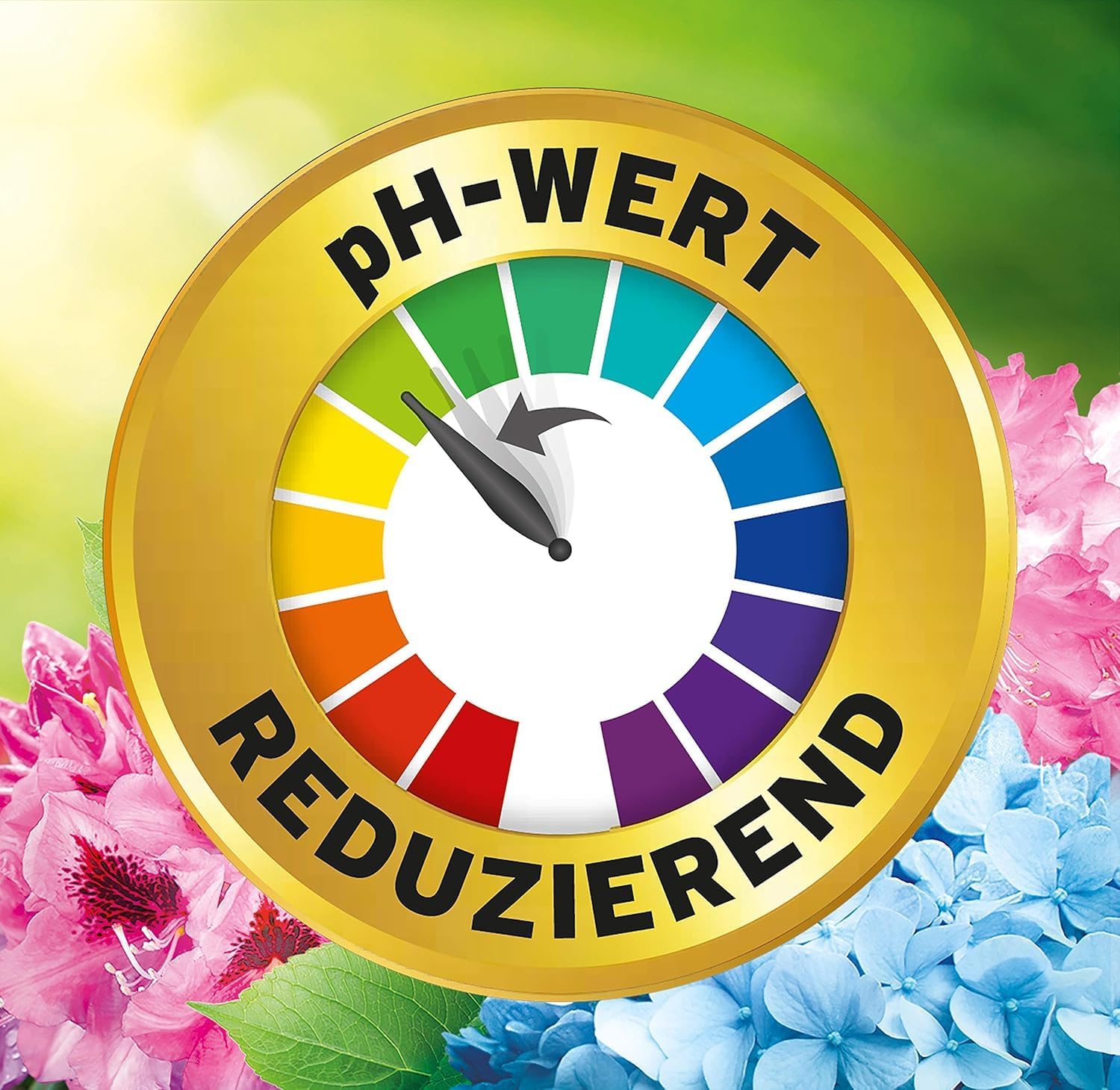 Substral Bodenkur Rhodo - Vital für Rhododendren Azaleen Hortensien Himbeeren Preiselbeeren Heidelbeeren u.a. 1kg — Ansicht 3