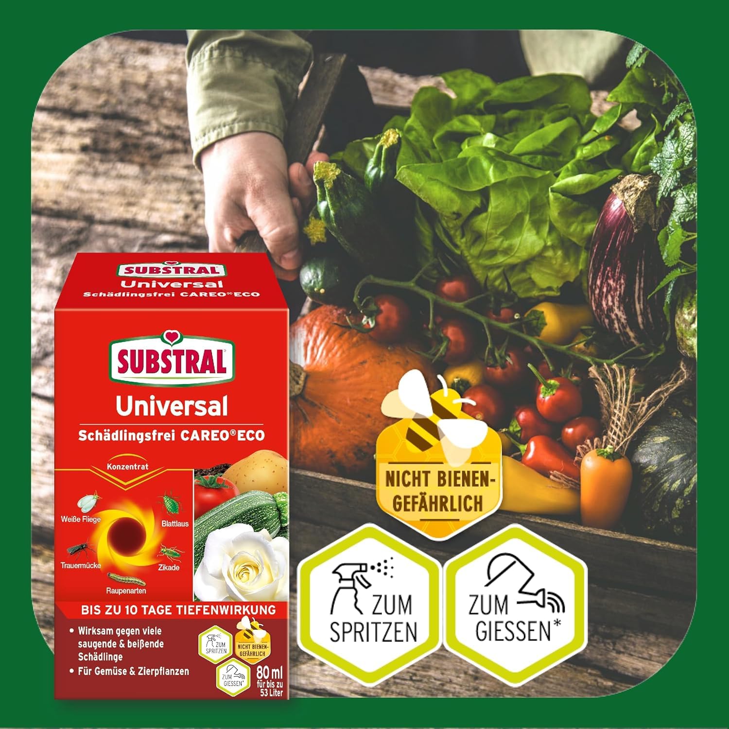 Substral Careo Eco Konzentrat 80ml gegen Blattläuse — Ansicht 2