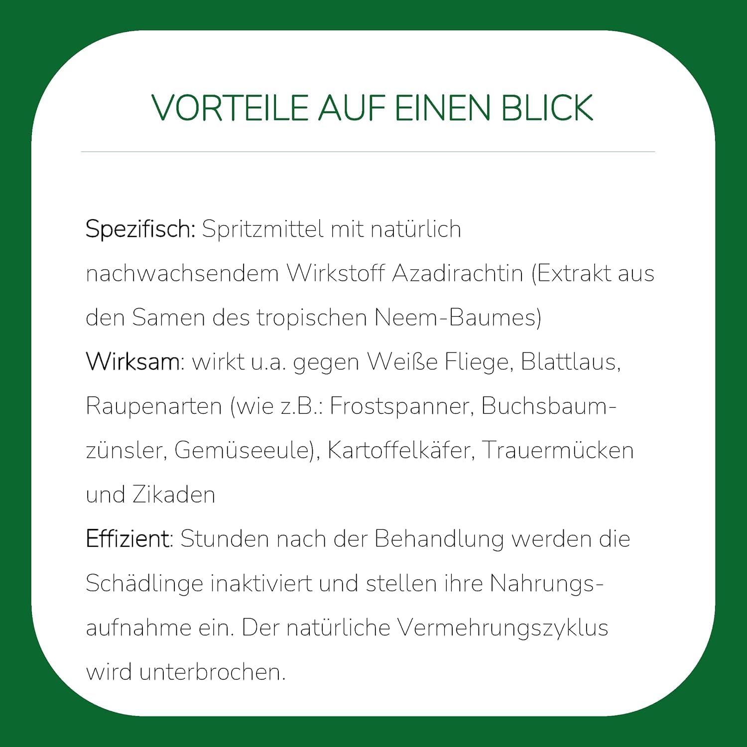 Substral Careo Eco Konzentrat 80ml gegen Blattläuse — Ansicht 4