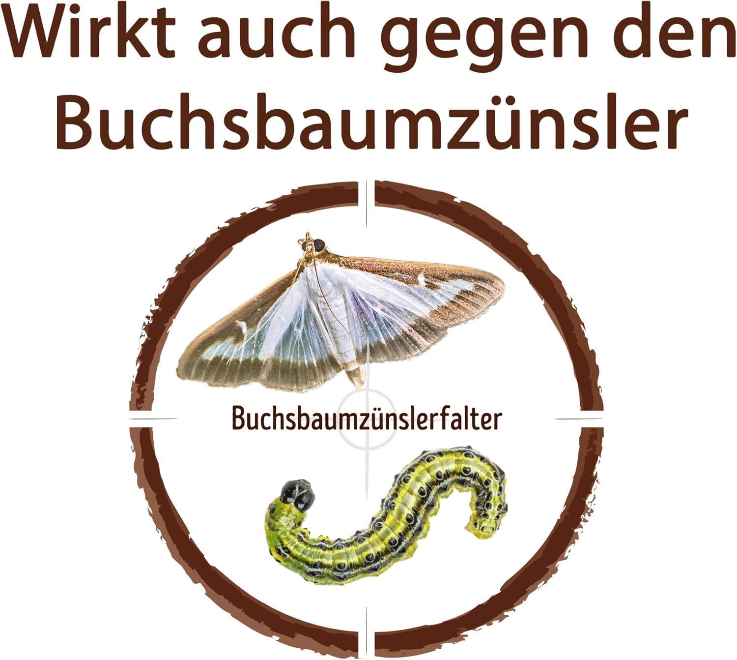 Substral Careo Konzentrat 250ml gegen Blattläuse — Ansicht 4