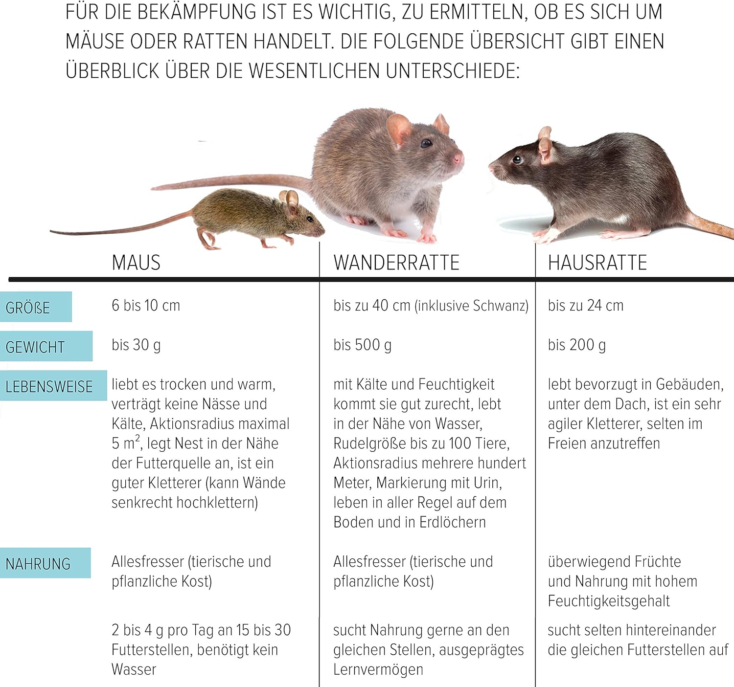 Substral Celaflor Abschließbare Mäuse-Köderstation, 1 Stück – Sichere Ausbringung und Schutz vor Mäusen (Packung mit 2) — Ansicht 6