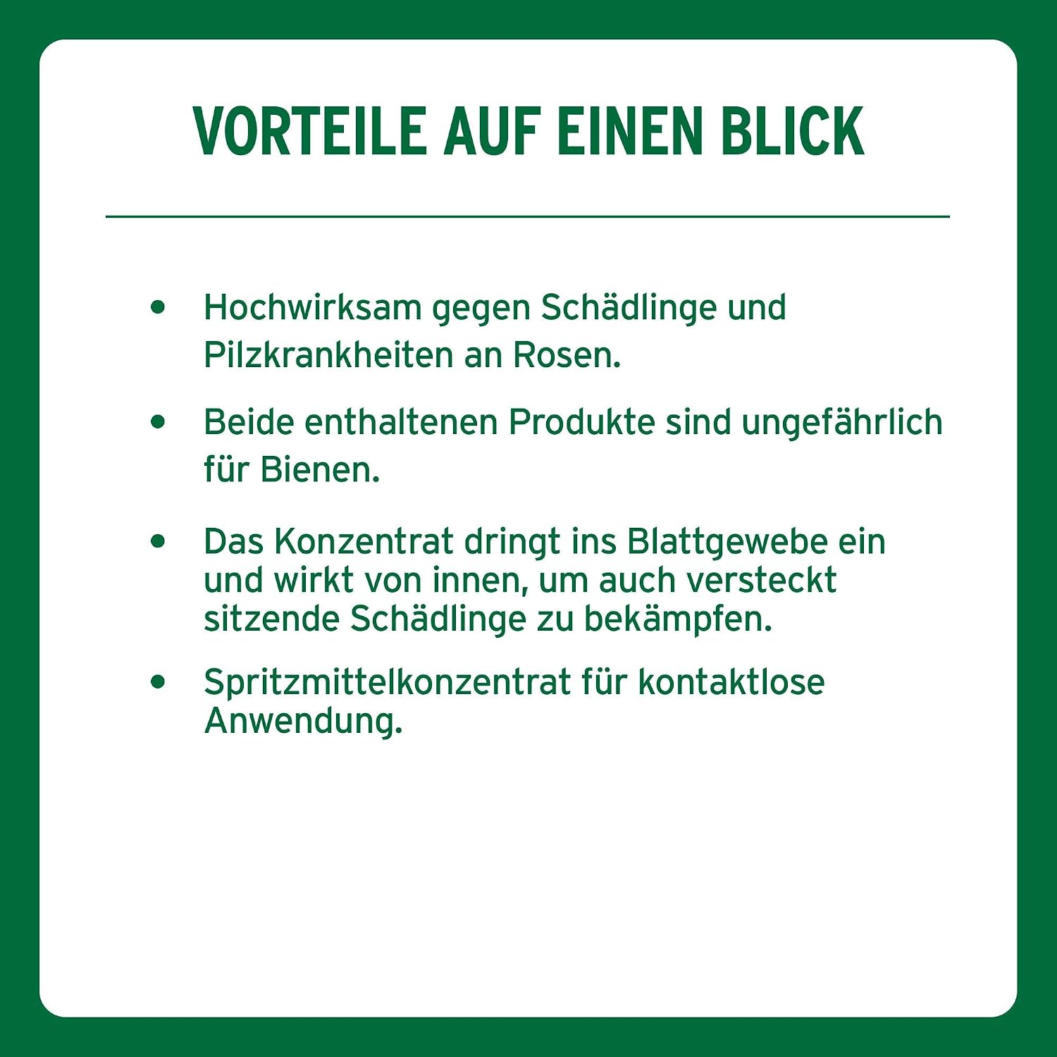 Substral Celaflor Combi-Rosenspritzmittel, 1x15+2x4ml, Rundumschutz für Rosen, gegen Schädlinge und Pilzkrankheiten — Ansicht 6