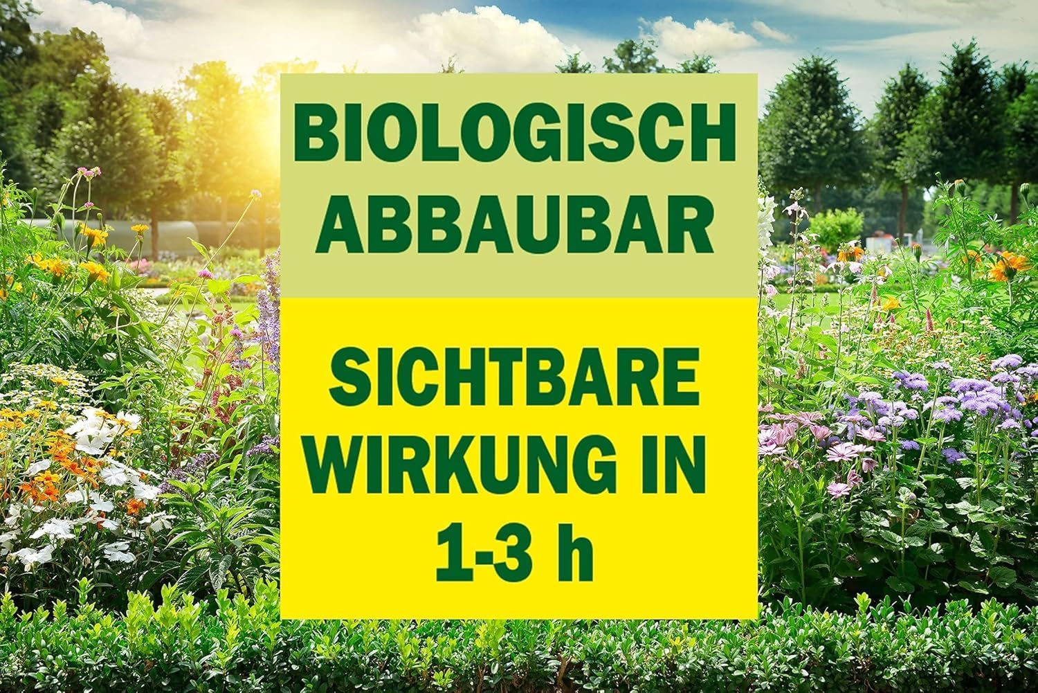 Substral Celaflor Power Unkrautfrei Weedex Total 3 Liter Sprühkanister gegen Unkräuter Gräser und Moos — Ansicht 2