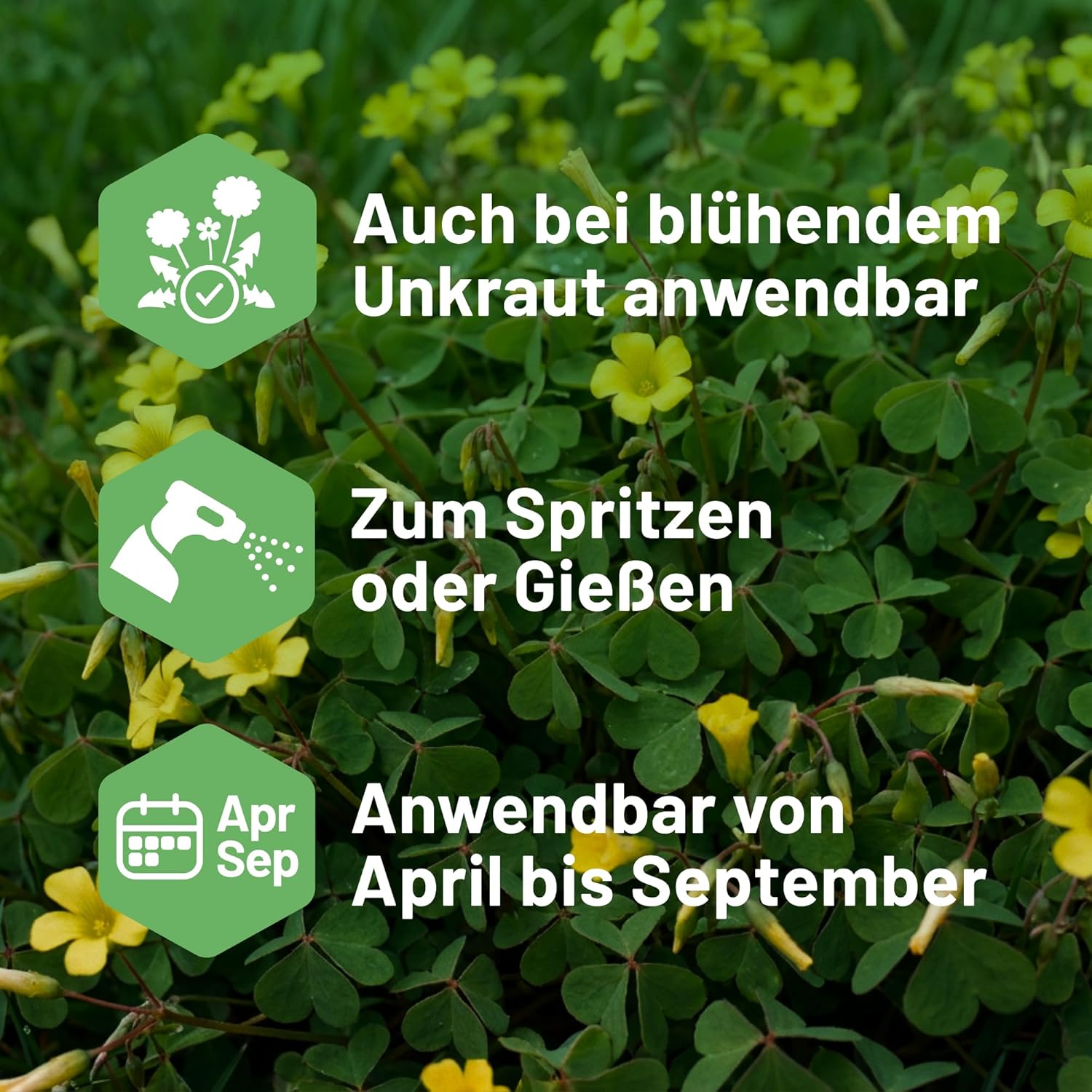 Substral Celaflor Rasen - Unkrautfrei Weedex 400ml Konzentrat — Ansicht 5