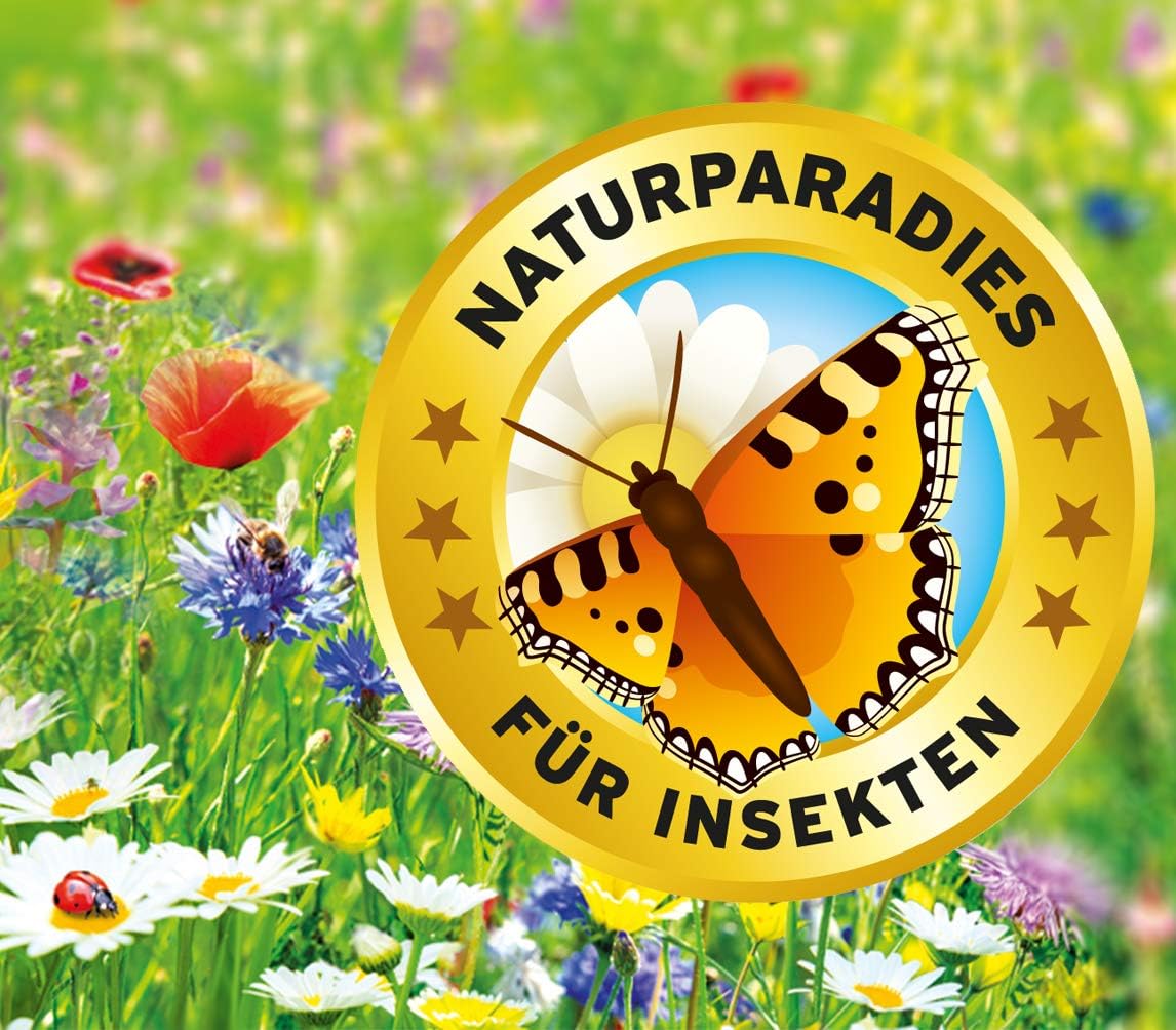 Substral Die Blumenwiese Rasen- & Blumensamen für ein attraktives Bienen- und Nützlingsparadies, 800 g (Packung mit 2) — Ansicht 4