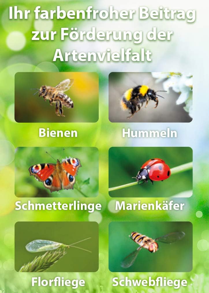 Substral Die Blumenwiese Rasen- & Blumensamen für ein attraktives Bienen- und Nützlingsparadies, 800 g (Packung mit 2) — Ansicht 6