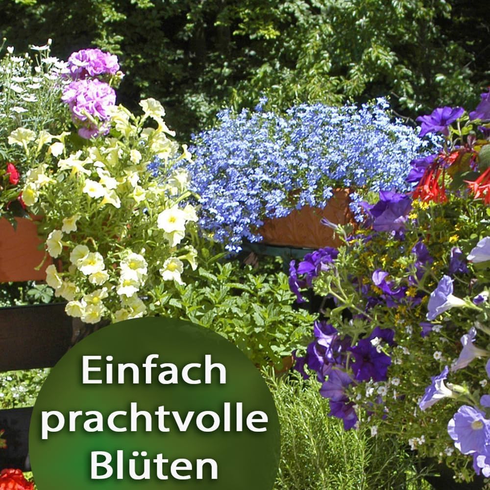 Substral Dünger - Stäbchen für Blühpflanzen mit Eisen - Plus und 2 Monate Langzeitwirkung 60 Stück green — Ansicht 3