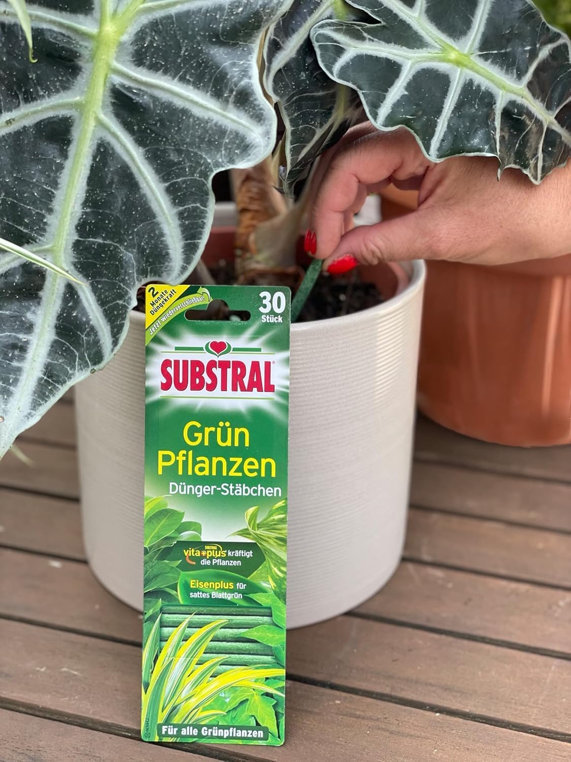 Substral Dünger - Stäbchen für Grünpflanzen mit Eisen - Plus und 2 Monate Langzeitwirkung 30 Stück — Ansicht 2