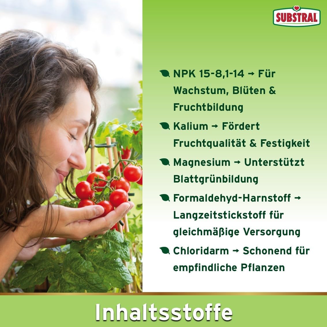 Substral Dünger-Stäbchen für Tomaten, Chili, Peperoni, Gurken, Zucchini und Paprika, etc., mit Langzeitwirkung, 10 St. (Packung mit 2) — Ansicht 4