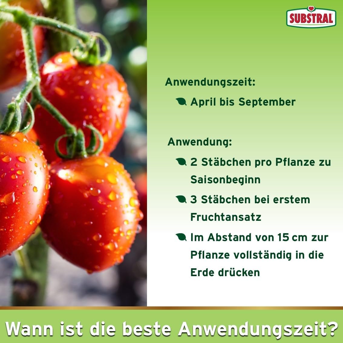 Substral Dünger-Stäbchen für Tomaten, Chili, Peperoni, Gurken, Zucchini und Paprika, etc., mit Langzeitwirkung, 10 St. (Packung mit 2) — Ansicht 5