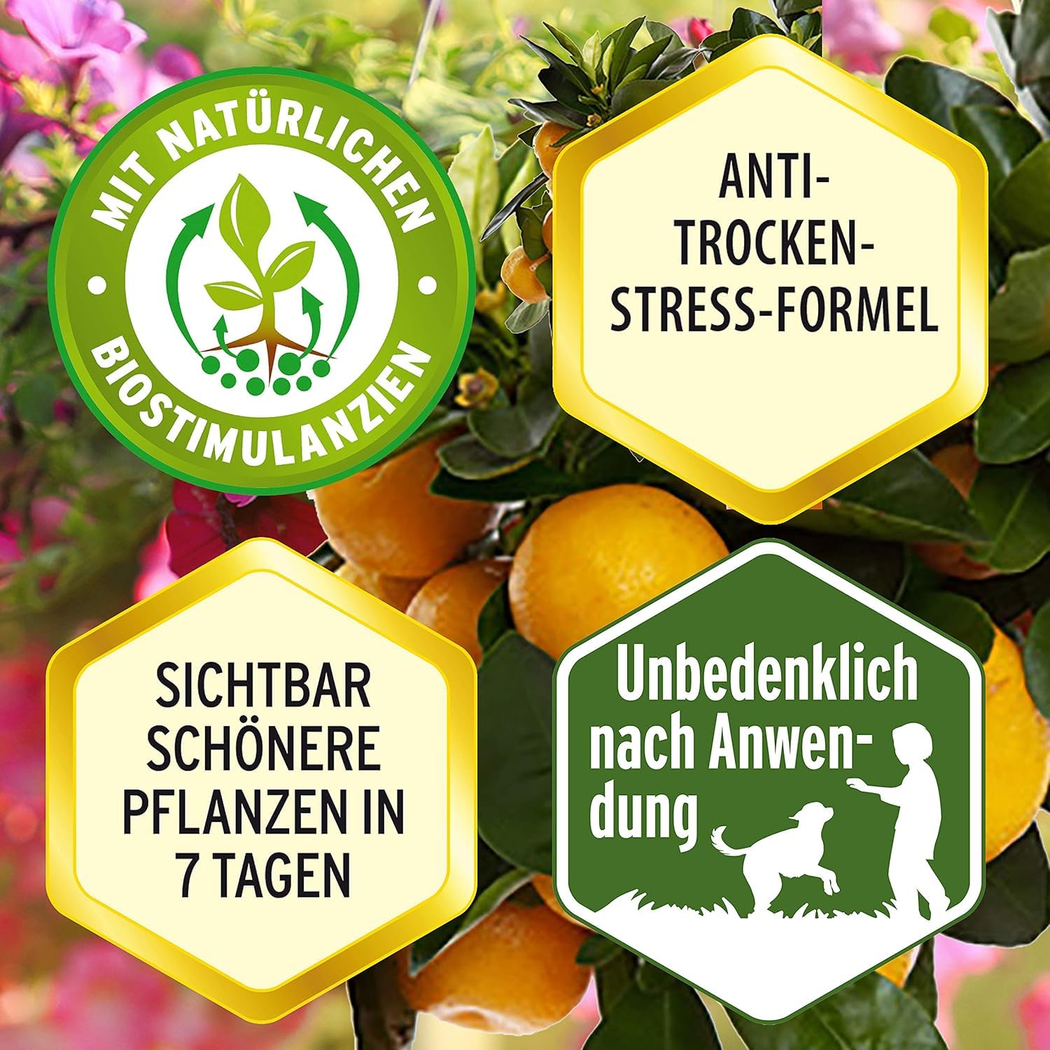 Substral Eisendünger 250ml Flüssigdünger gegen Eisenmangel an Zierpflanzen und Rasen für Gieß - und Spritzanwendung — Ansicht 2