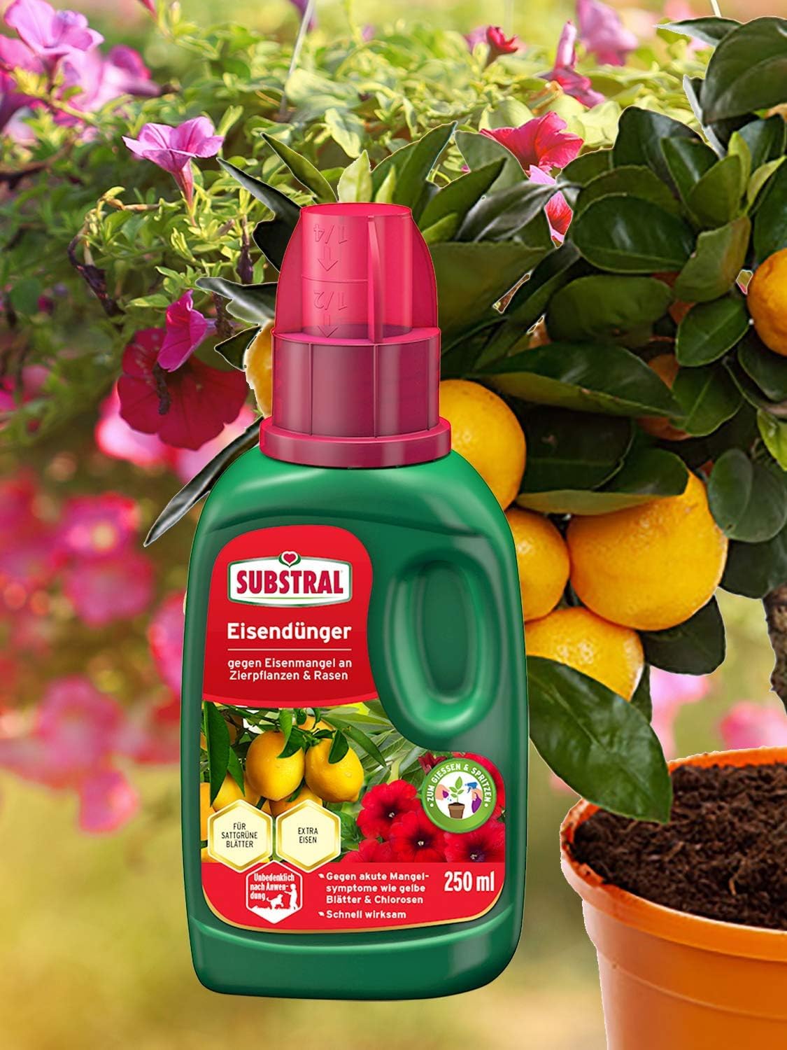 Substral Eisendünger 250ml Flüssigdünger gegen Eisenmangel an Zierpflanzen und Rasen für Gieß - und Spritzanwendung — Ansicht 3