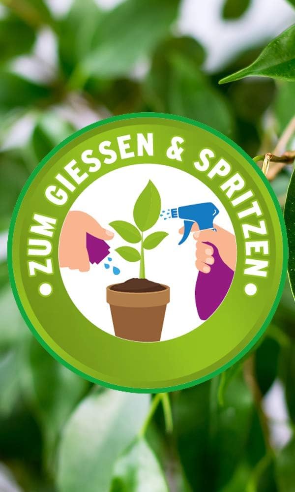 Substral Eisendünger 250ml Flüssigdünger gegen Eisenmangel an Zierpflanzen und Rasen für Gieß - und Spritzanwendung — Ansicht 4