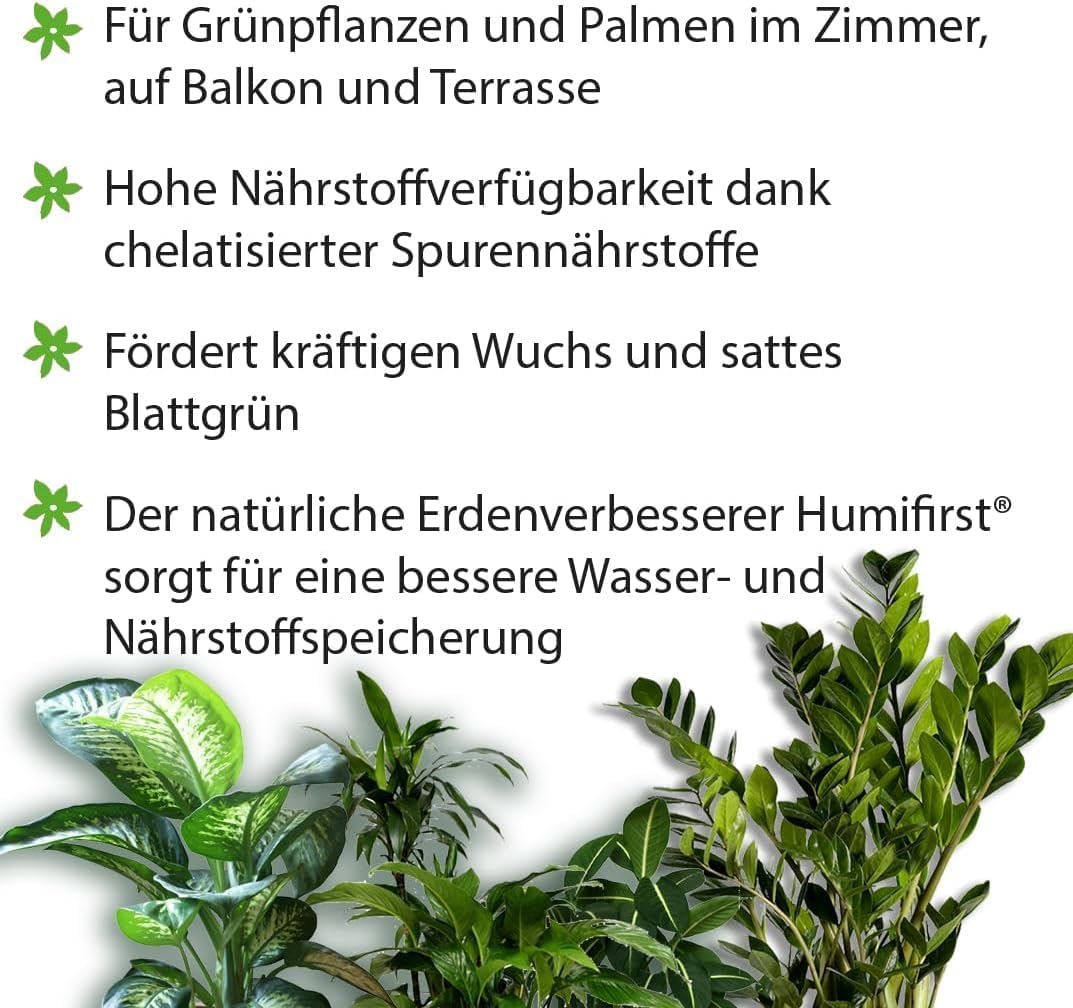 Substral Flüssigdünger für Grünpflanzen & Palmen 500ml Mindert Nährstoffmangel Fördert Wachstum & Blattgrün — Ansicht 2