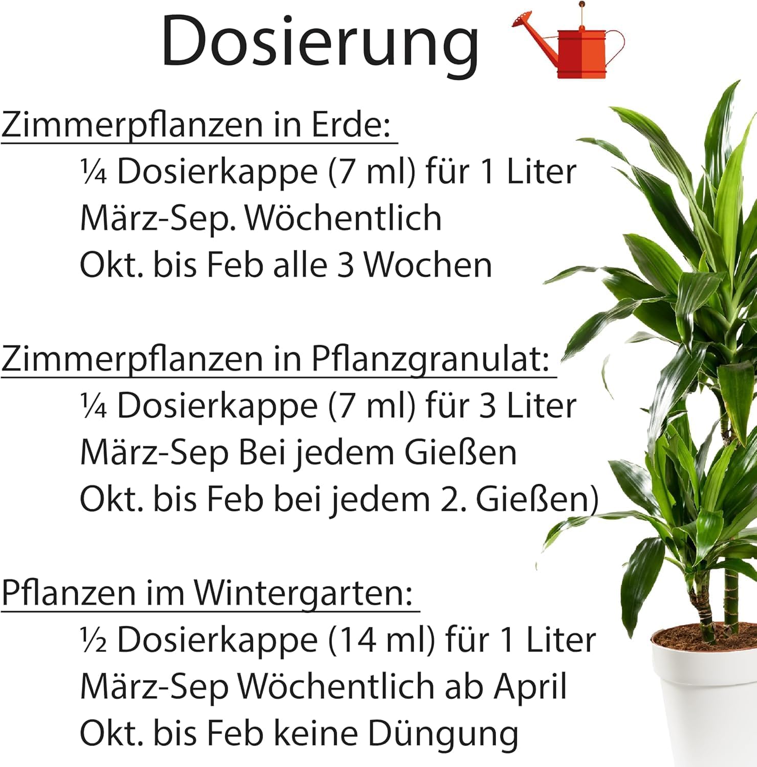 Substral Flüssigdünger für Grünpflanzen & Palmen 500ml Mindert Nährstoffmangel Fördert Wachstum & Blattgrün — Ansicht 3