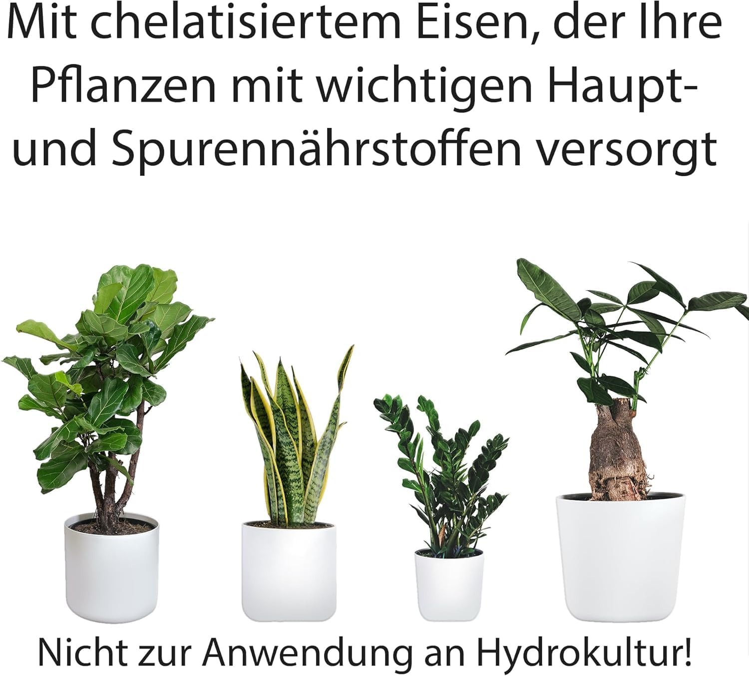 Substral Flüssigdünger für Grünpflanzen & Palmen 500ml Mindert Nährstoffmangel Fördert Wachstum & Blattgrün — Ansicht 4