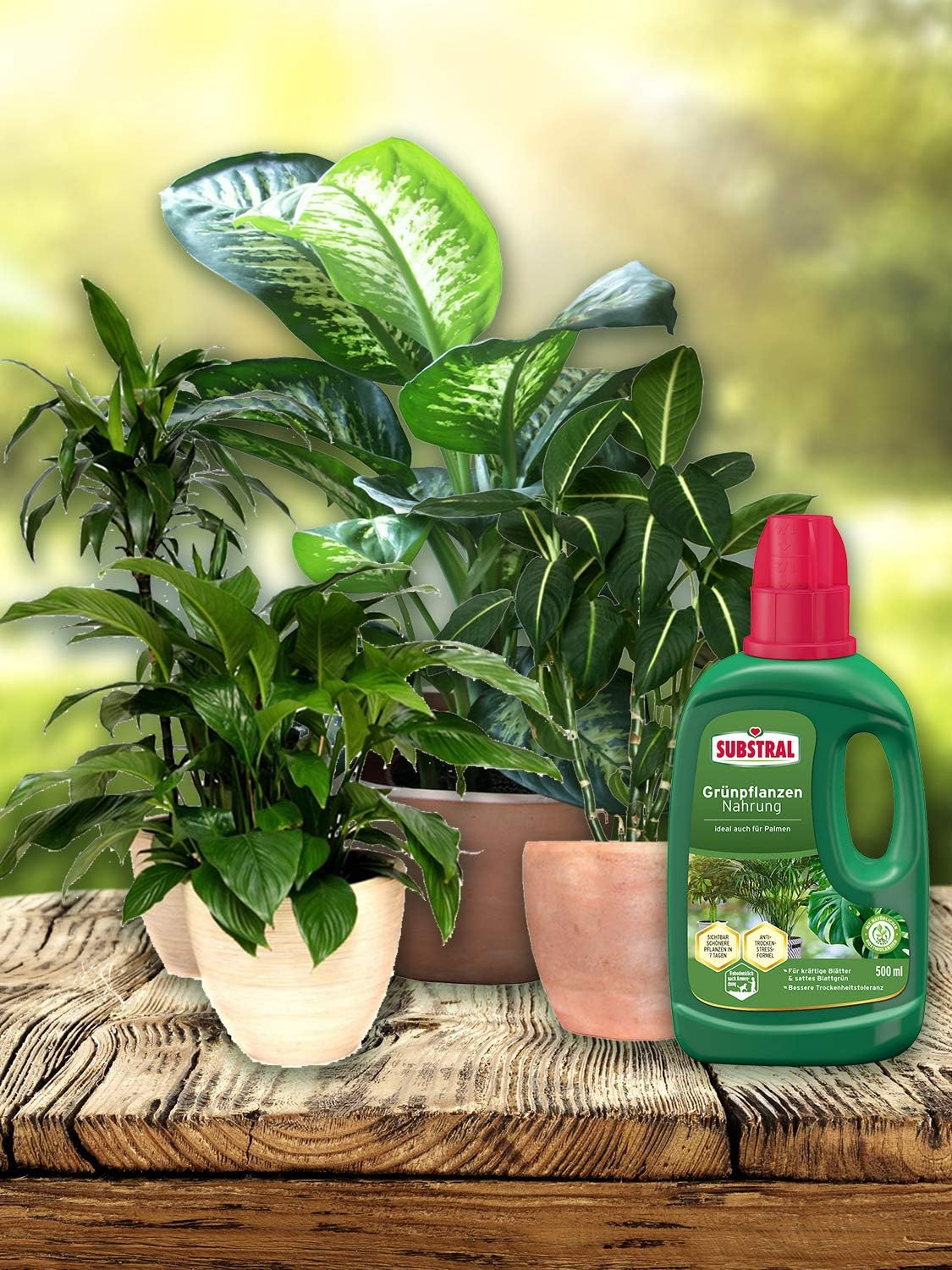 Substral Grünpflanzen Nahrung - 500 ml — Ansicht 5