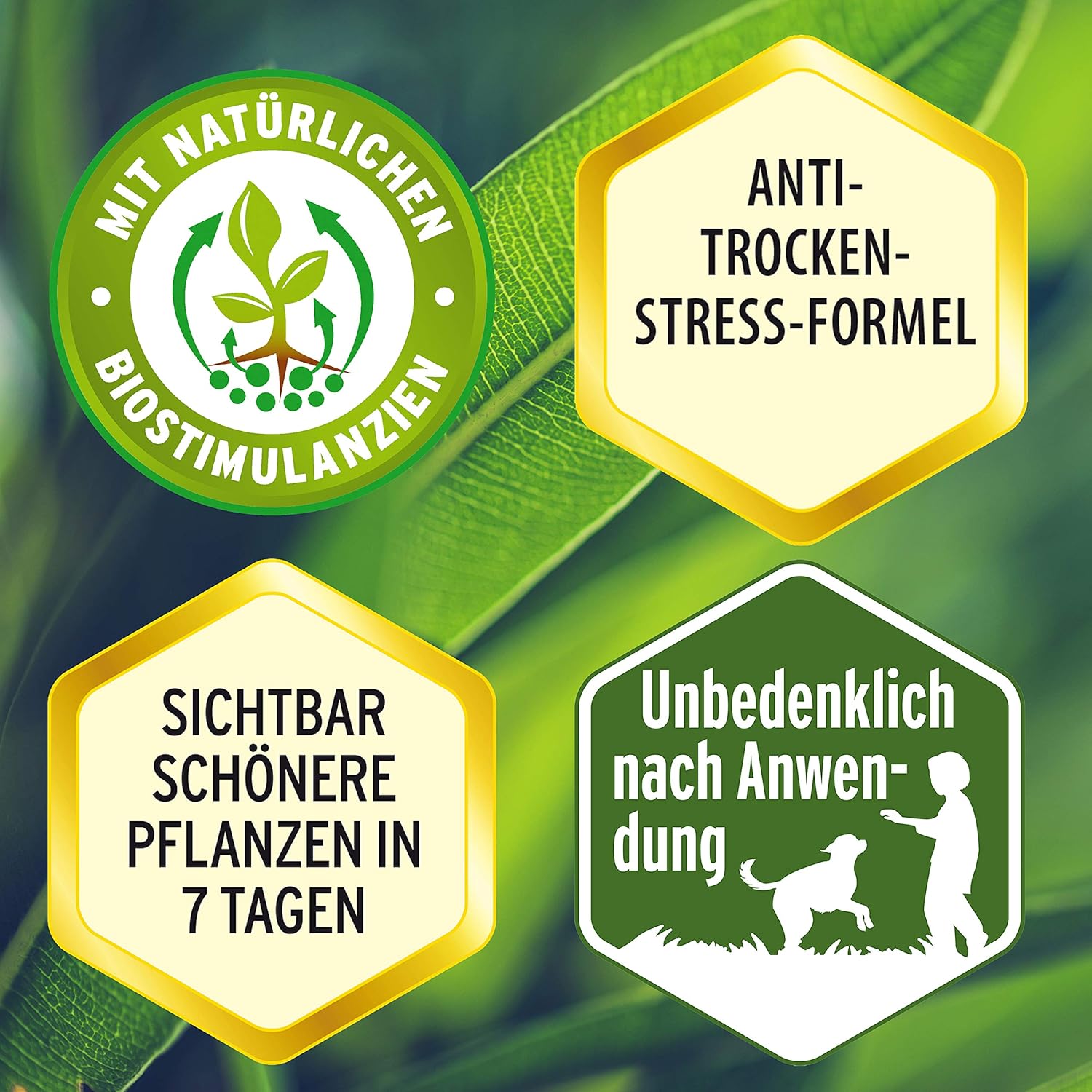 Substral Grünpflanzen Nahrung - 500 ml — Ansicht 6