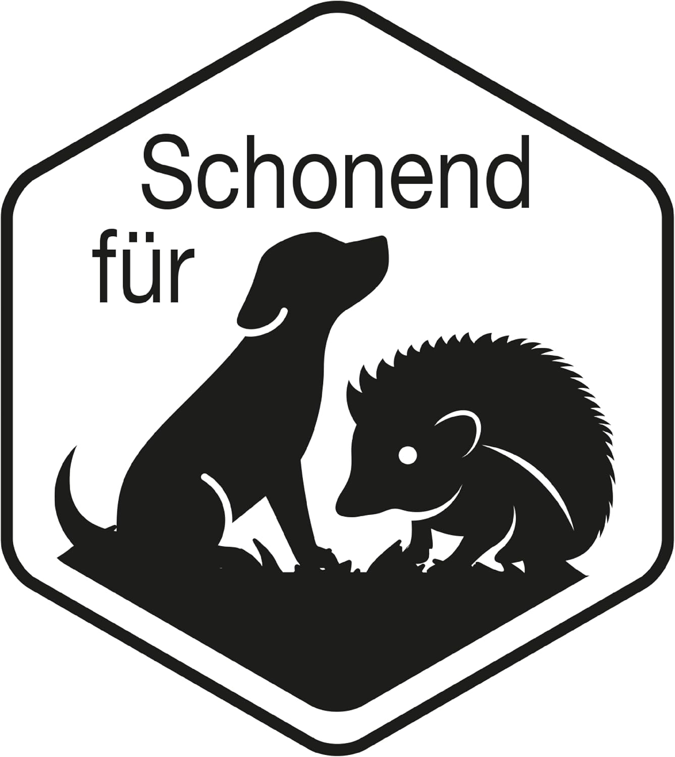 Substral Grundstoff Acetum unterstützt die Unkrautbeseitigung auf Wegen Terrassen oder Hauszufahrten 5L — Ansicht 4