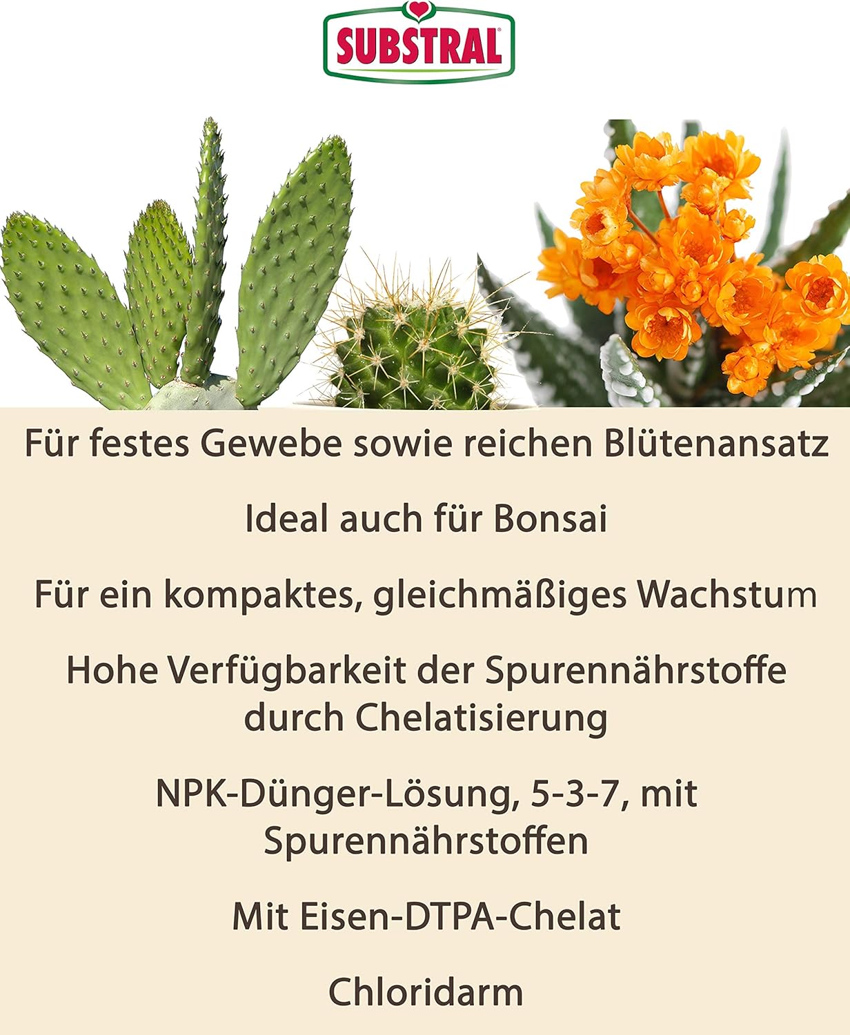 Substral Kakteen Nahrung, Flüssigdünger für Kakteen, 250 ml, Sukkulente und Bonsai mit natürlichen Biostimulanzien — Ansicht 3