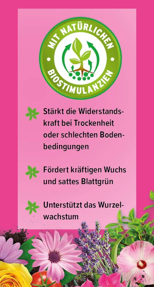Substral Kakteen Nahrung, Flüssigdünger für Kakteen, 250 ml, Sukkulente und Bonsai mit natürlichen Biostimulanzien — Ansicht 4