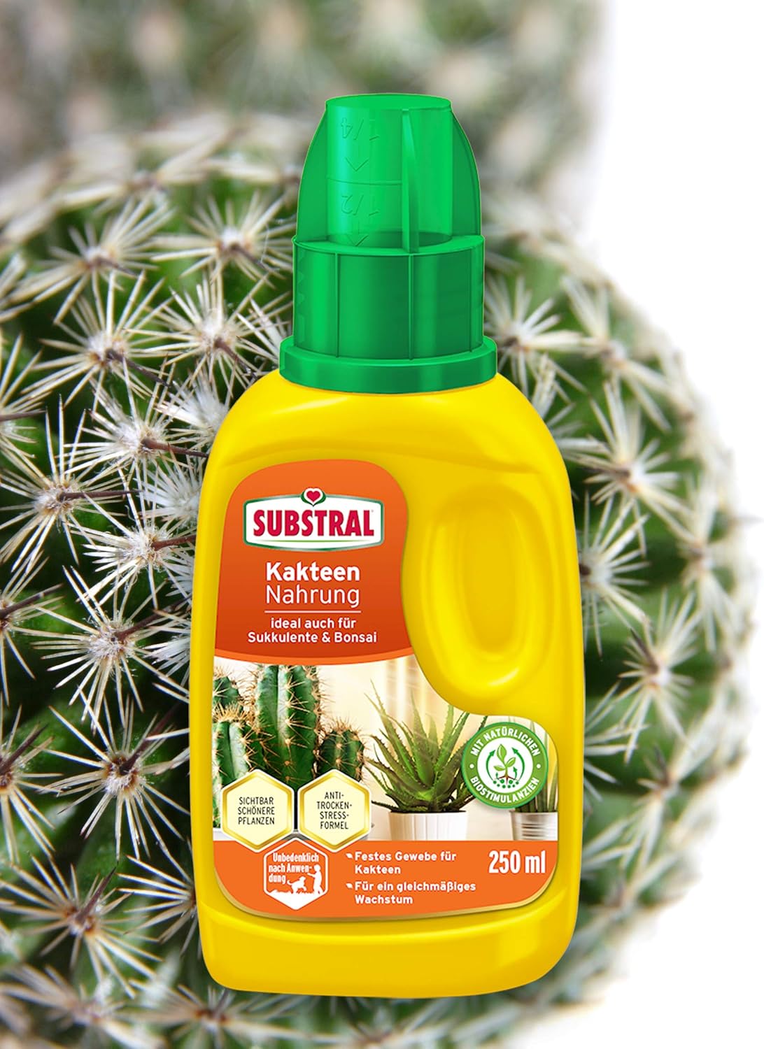 Substral Kakteen Nahrung, Flüssigdünger für Kakteen, 250 ml, Sukkulente und Bonsai mit natürlichen Biostimulanzien — Ansicht 5