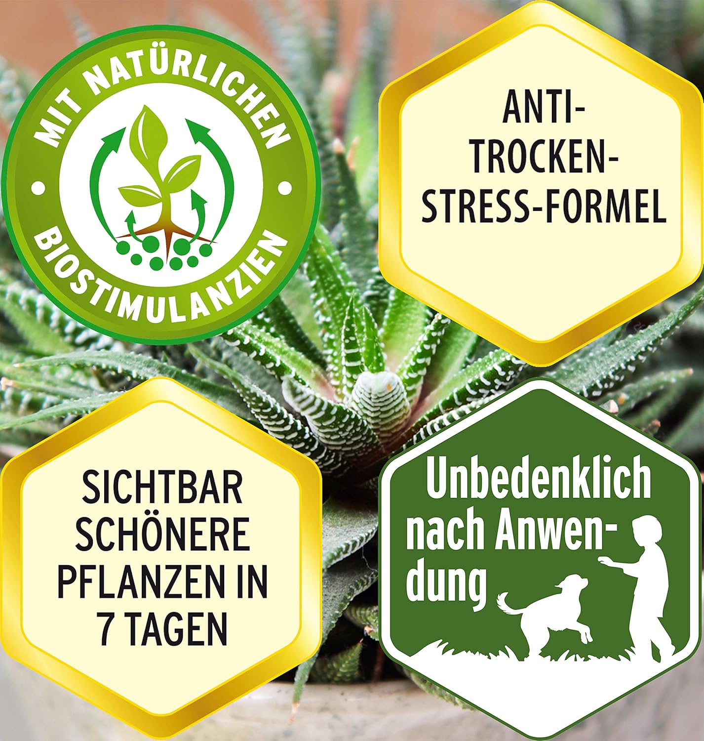 Substral Kakteen Nahrung, Flüssigdünger für Kakteen, 250 ml, Sukkulente und Bonsai mit natürlichen Biostimulanzien — Ansicht 6