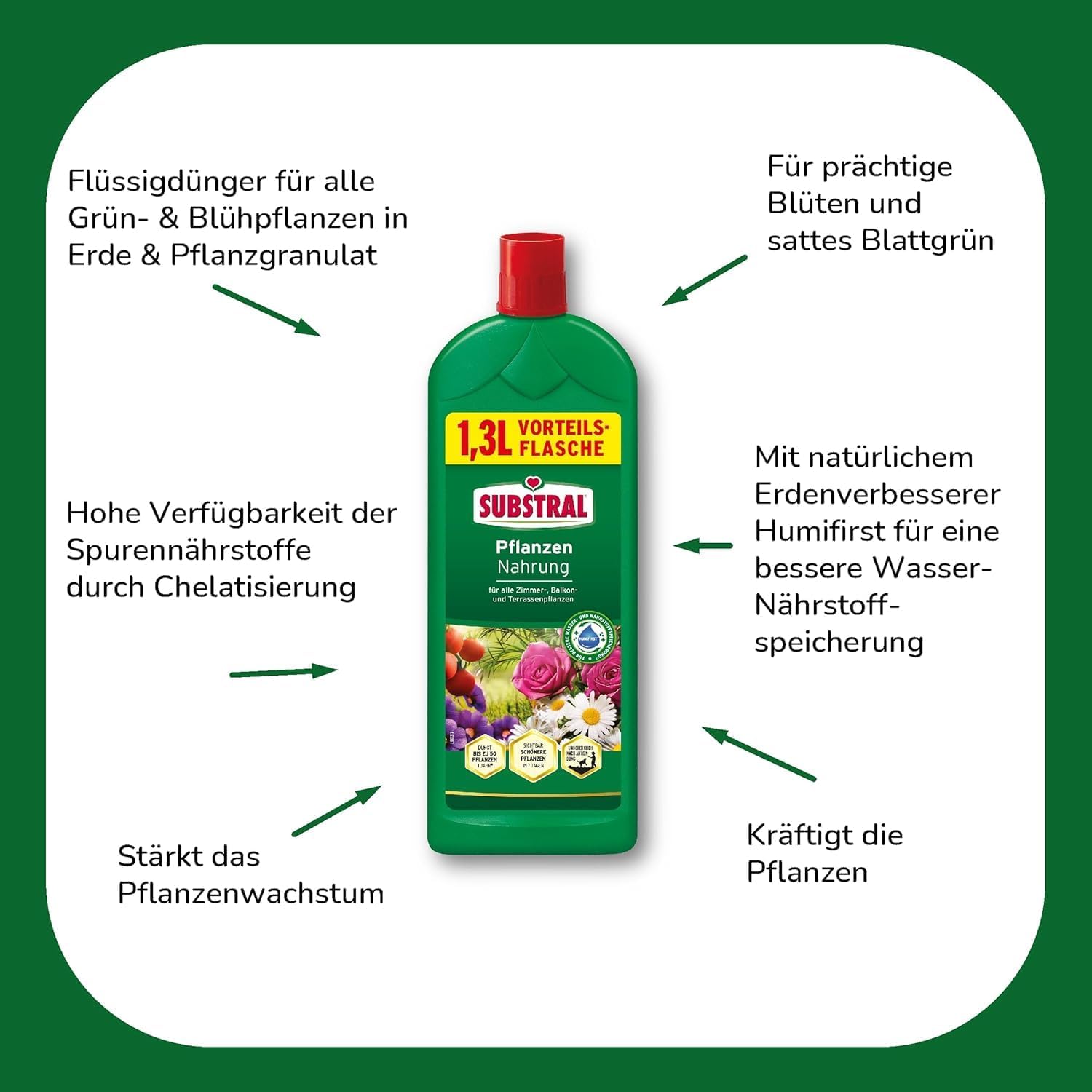 Substral Kübel - & Balkonpflanzen Nahrung 1,3L Flüssigdünger mit extra Eisen für alle Blühpflanzen u.a. Zitruspflanzen Geranien Surfinien Petunien — Ansicht 3