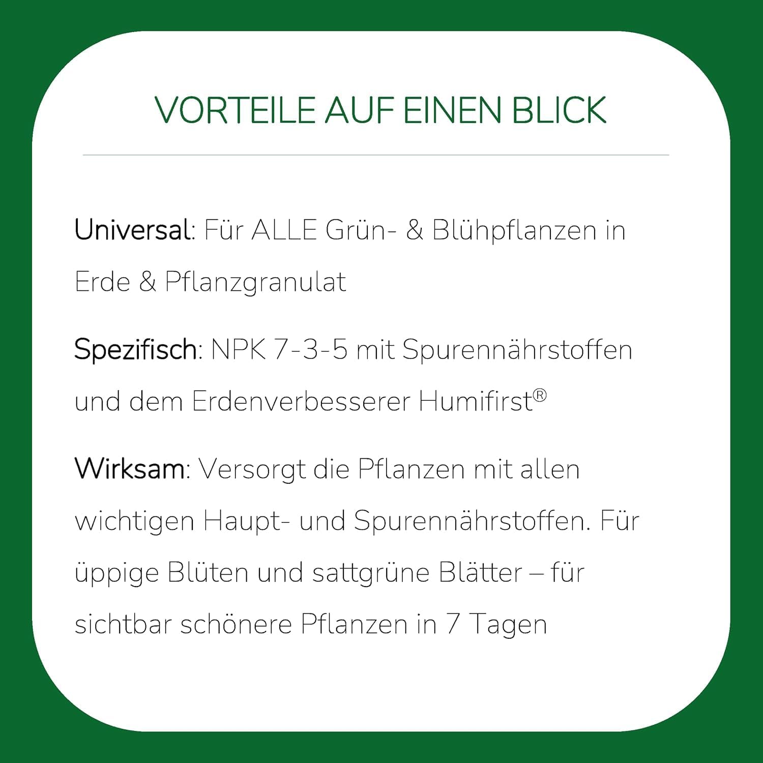 Substral Kübel - & Balkonpflanzen Nahrung 1,3L Flüssigdünger mit extra Eisen für alle Blühpflanzen u.a. Zitruspflanzen Geranien Surfinien Petunien — Ansicht 4