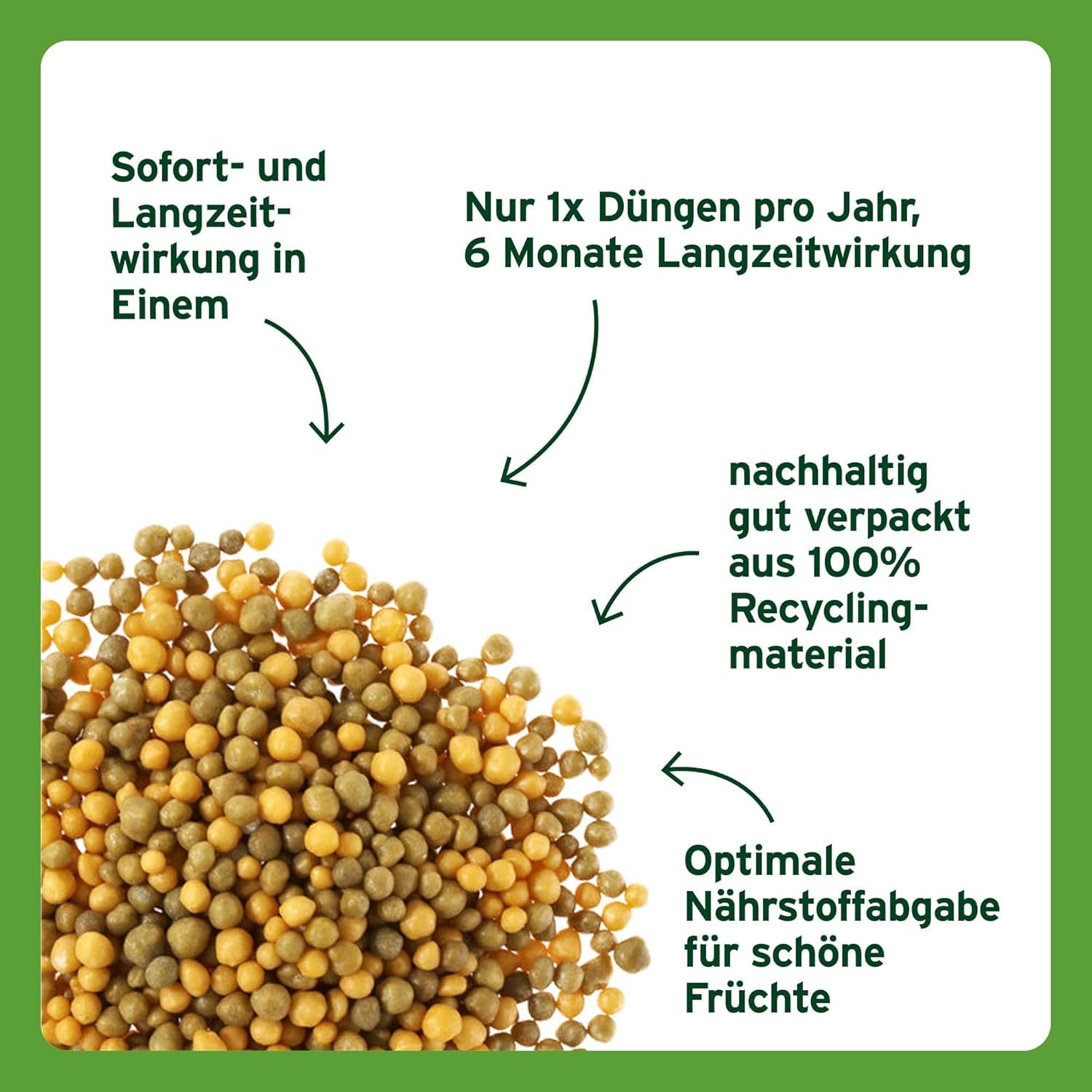 Substral Langzeit Depotdünger für Zitrus & mediterrane Pflanzen 750g für Bougainville Oleander Feigen u.a. — Ansicht 2