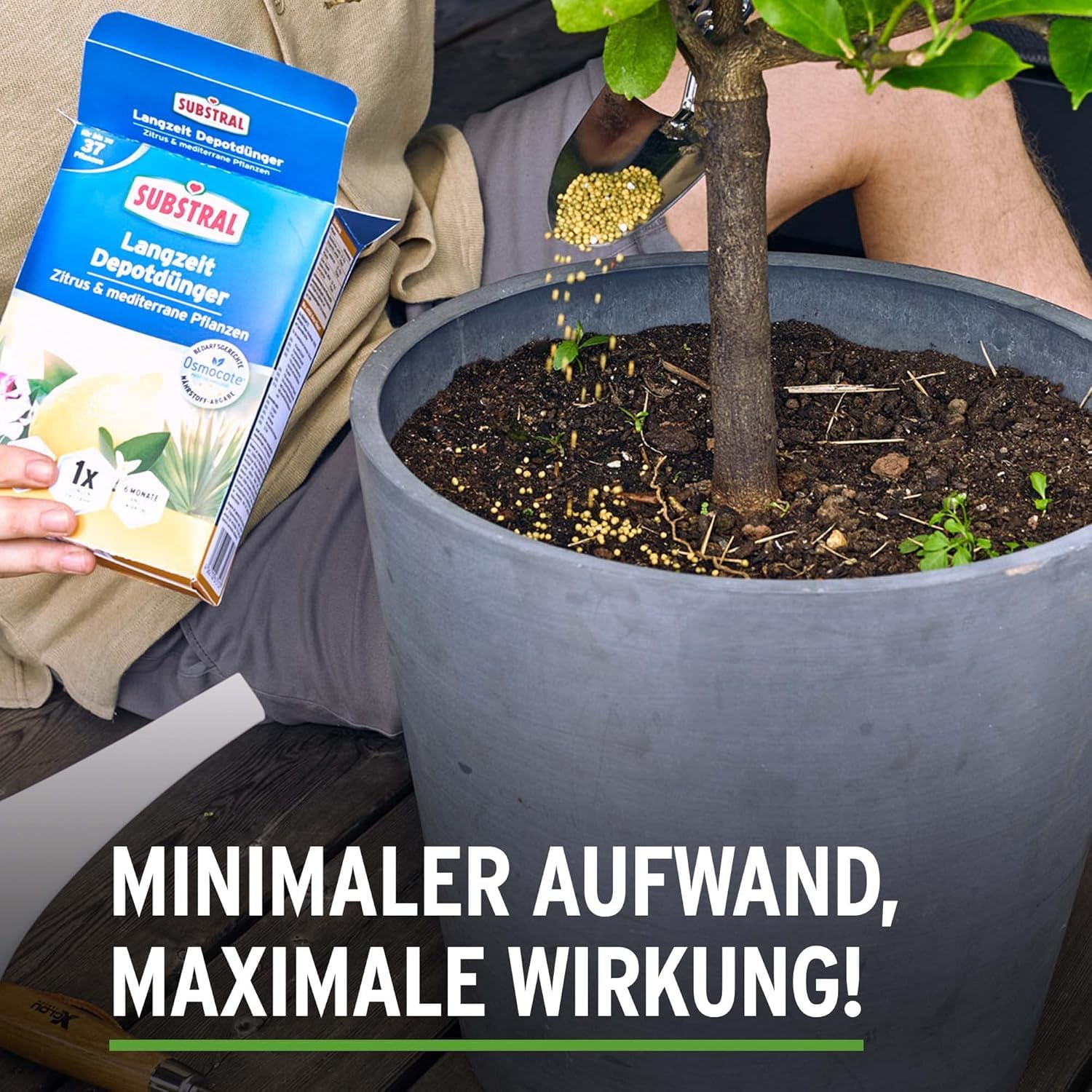 Substral Langzeit Depotdünger für Zitrus & mediterrane Pflanzen 750g für Bougainville Oleander Feigen u.a. — Ansicht 3