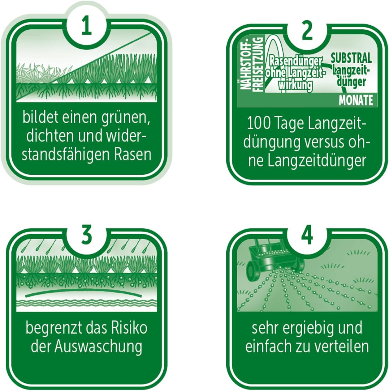 Substral Langzeit Rasendünger 2kg für 100 m2 Sofortwirkung in 7 Tagen und Langzeitwirkung bis 100 Tage für dichten sattgrünen Rasen — Ansicht 2
