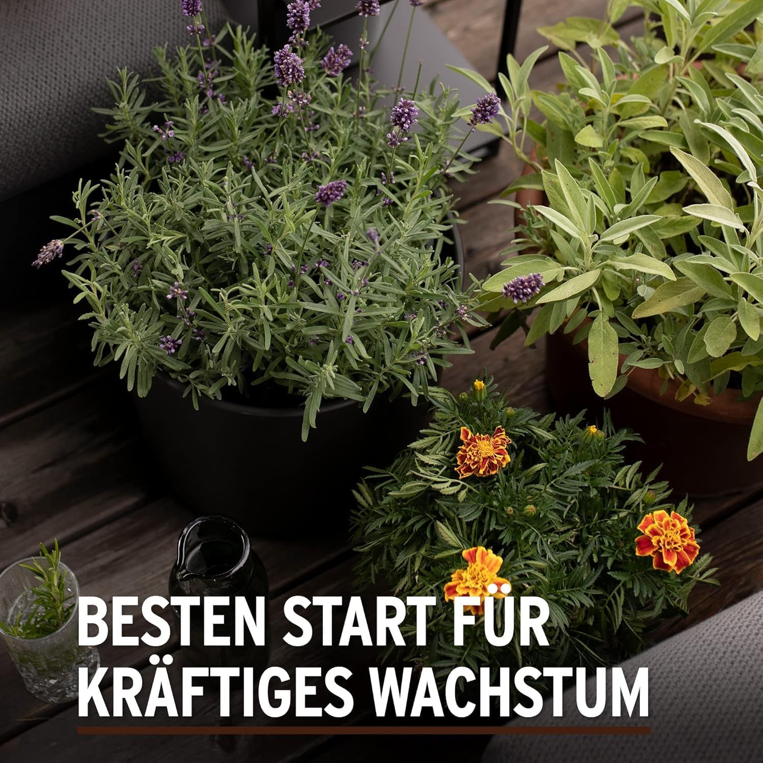 Substral Naturen Anzucht & Kräuter Erde Bio & torffrei 20L für Aussaaten Stecklinge und Kräuter vorgedüngt — Ansicht 3