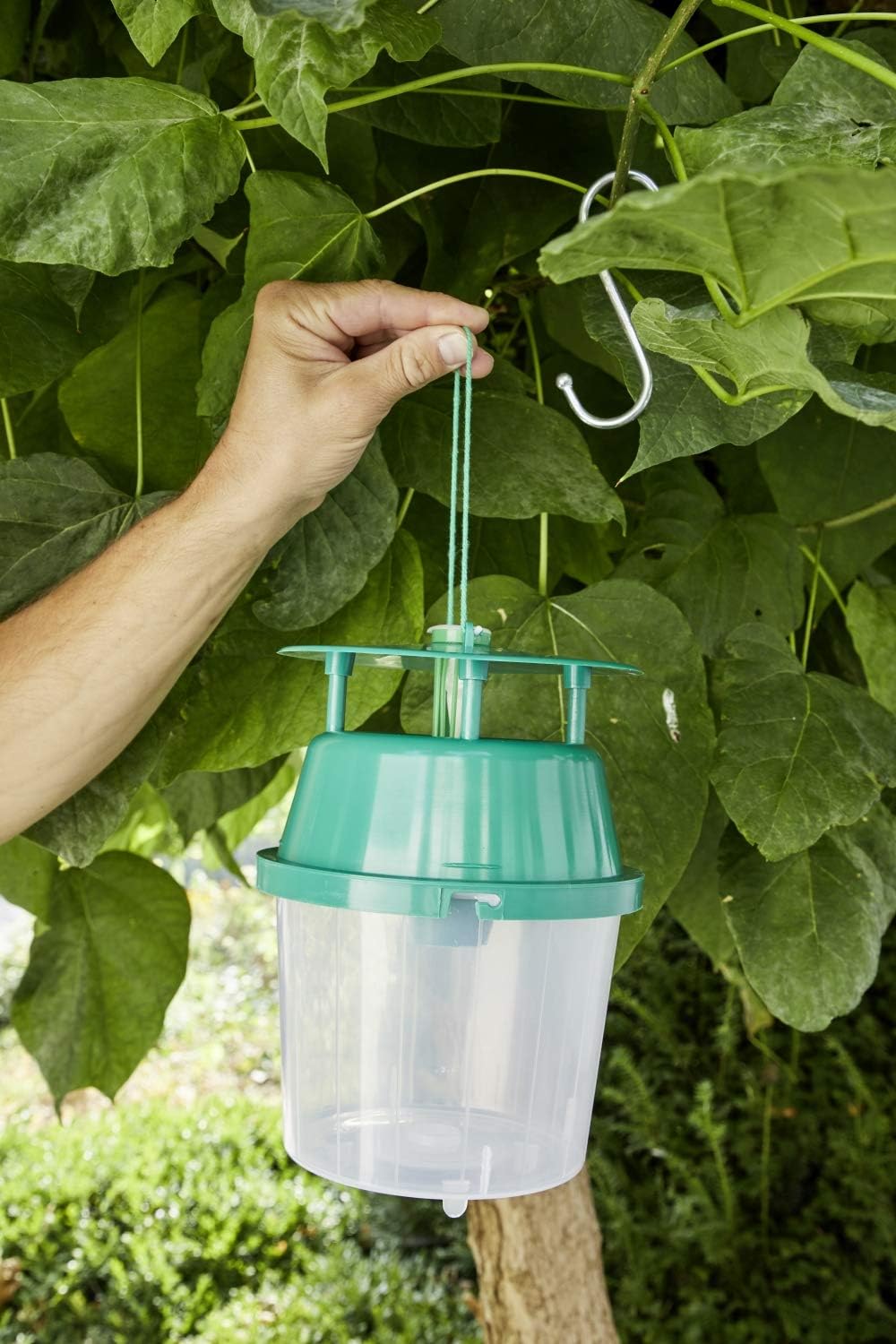 Substral Naturen Bio Buchsbaumzünsler Falle zur Befallskontrolle, insektizidfrei, mit Pheromon Lockstoff, wirkt 6 Monate — Ansicht 5