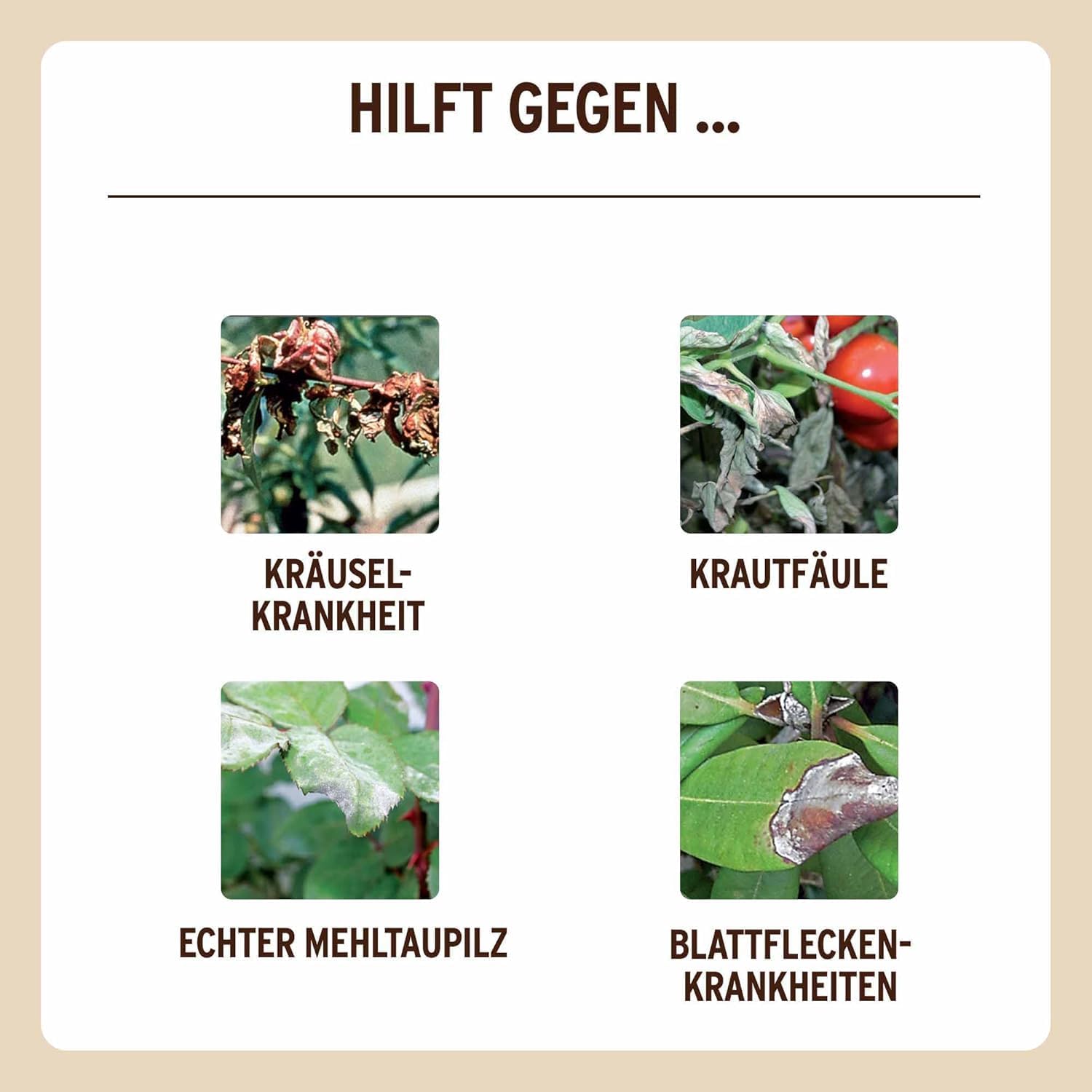 Substral Naturen Bio Grundstoff Lecithin 750ml Sprühflasche unterstützt Pflanzengesundheit Pilzabwehr + Befallsminderung — Ansicht 5