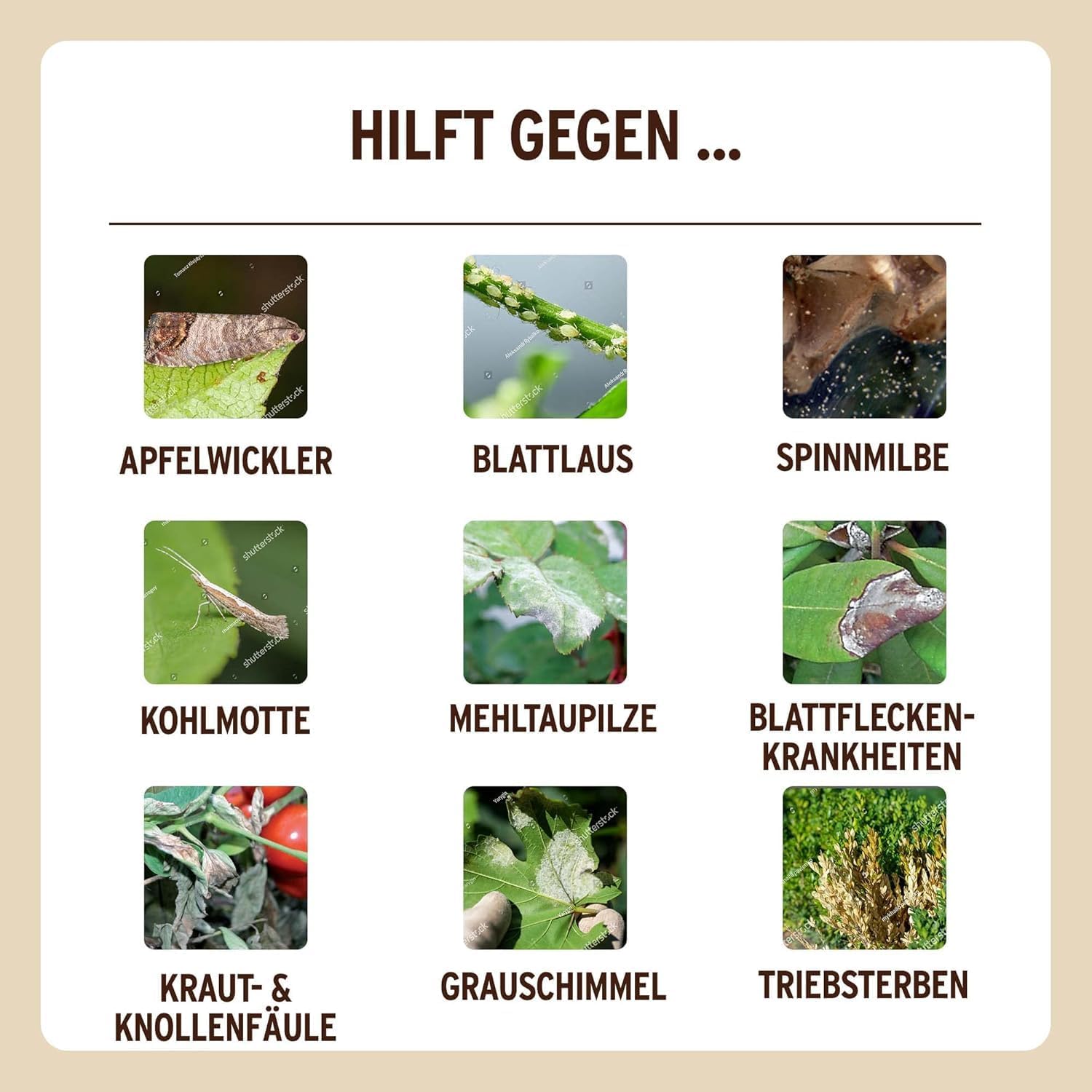 Substral Naturen Bio Grundstoff Urtica 1L Konzentrat unterstützt Pflanzengesundheit Schädlingsabwehr + Befallminderung — Ansicht 5