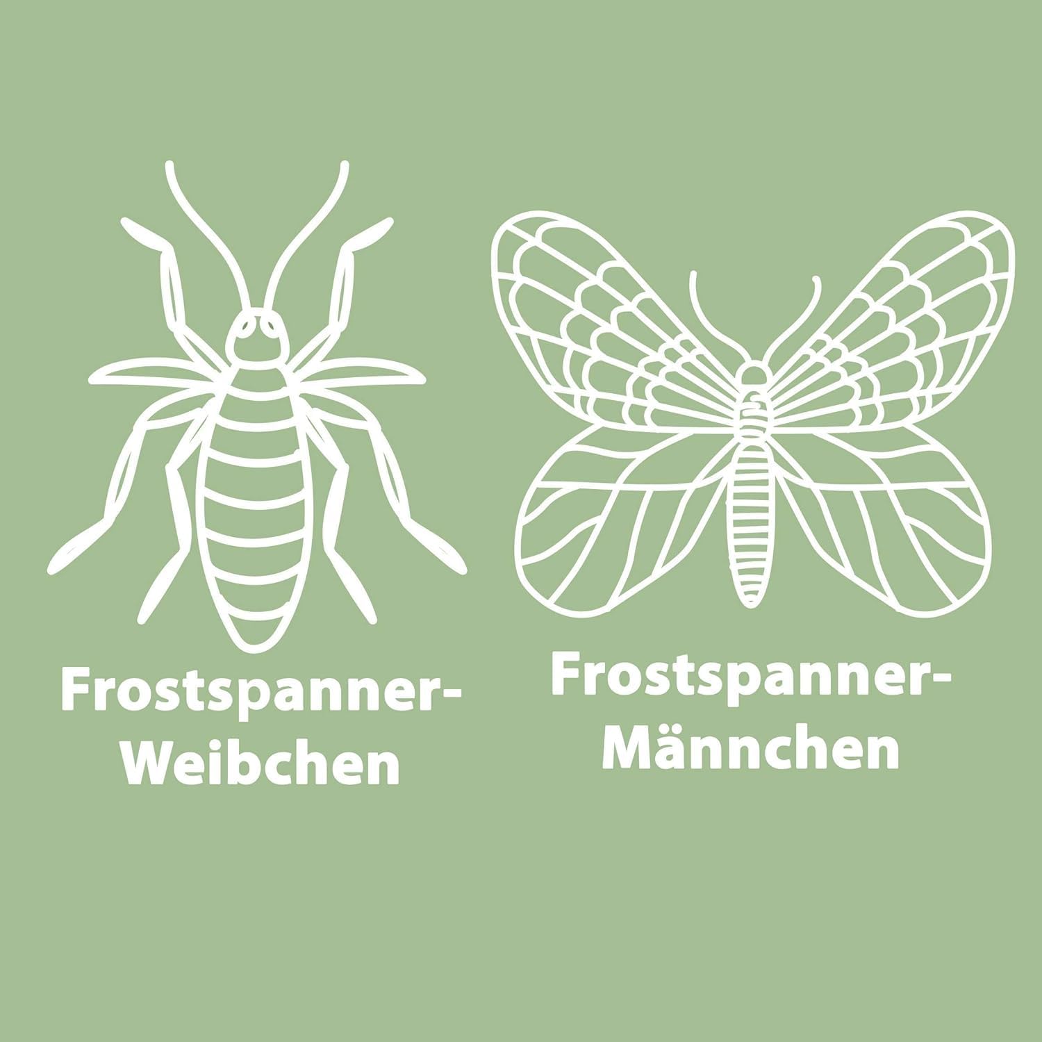 Substral Naturen Bio Leimring Raupenleimring inkl. Bindedraht gegen Raupen Ameisen und andere Schadinsekten 5m — Ansicht 4