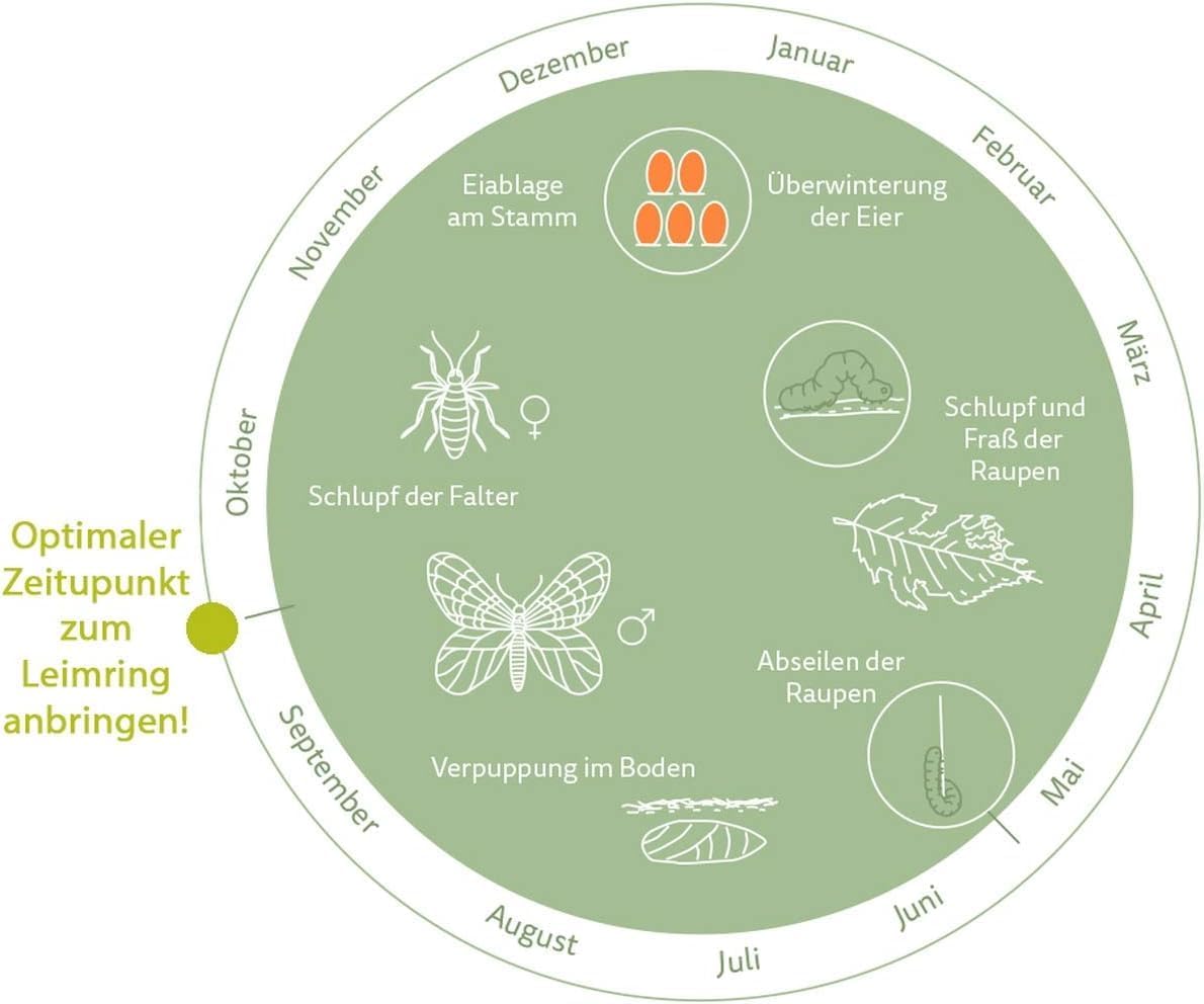 Substral Naturen Bio Leimring Raupenleimring inkl. Bindedraht gegen Raupen Ameisen und andere Schadinsekten 5m — Ansicht 6