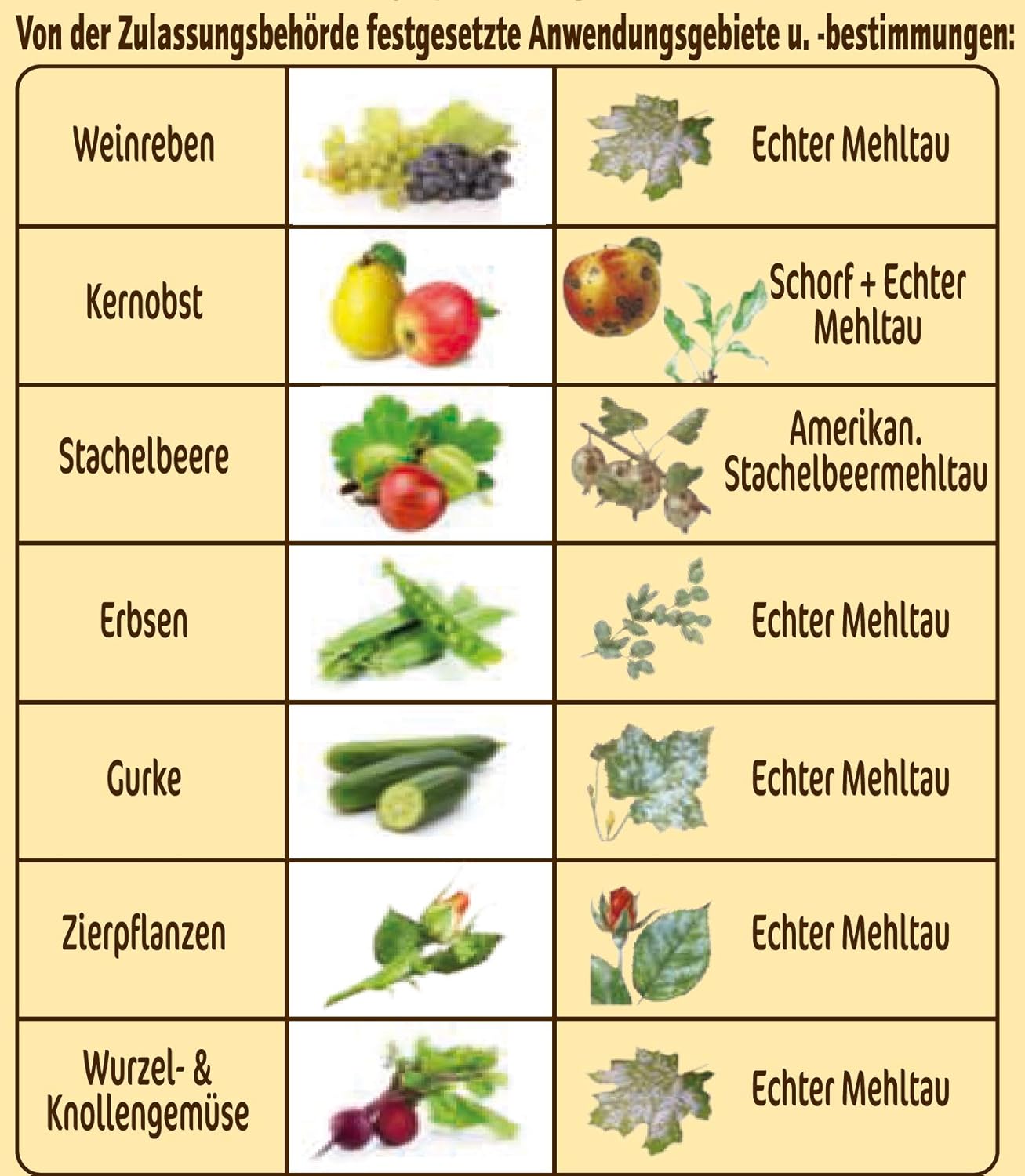 Substral Naturen Bio Netzschwefel Mehltau Pilzfrei, 6x10g - Biologisches Spritzpulver gegen Pilzkrankeiten an Pflanzen (Packung mit 2) — Ansicht 4
