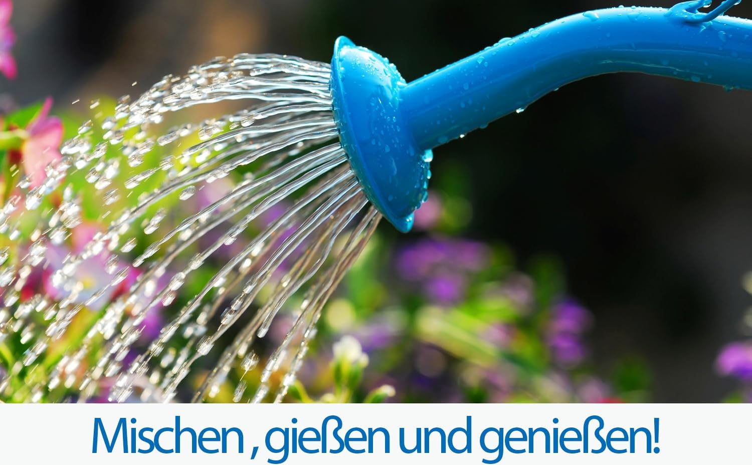 Substral Naturen Bio Pflanzen-Nahrung, pflanzlicher, veganer Flüssigdünger für Zierpflanzen, Obst & Gemüse, 2 L (Packung mit 2) — Ansicht 3