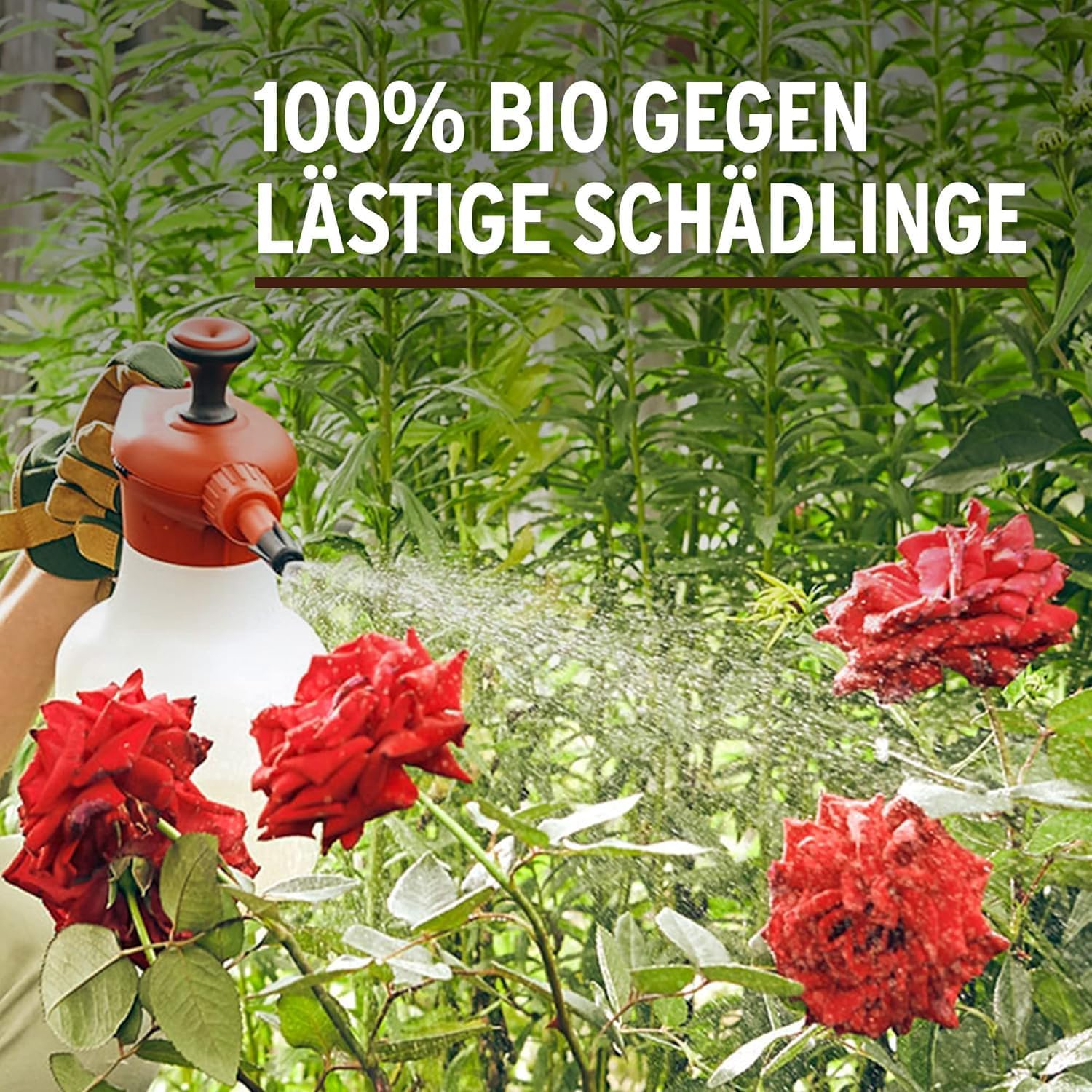 Substral Naturen Bio Schädlingsfrei Neem 75ml Konzentrat gegen saugende und beißende Schädlinge an Gemüse - und Zierpflanzen — Ansicht 3