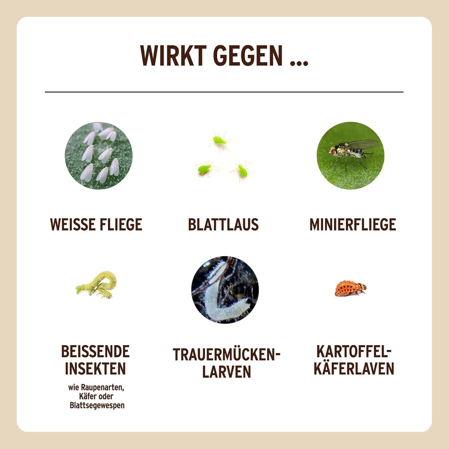 Substral Naturen Bio Schädlingsfrei Neem 75ml Konzentrat gegen saugende und beißende Schädlinge an Gemüse - und Zierpflanzen — Ansicht 5