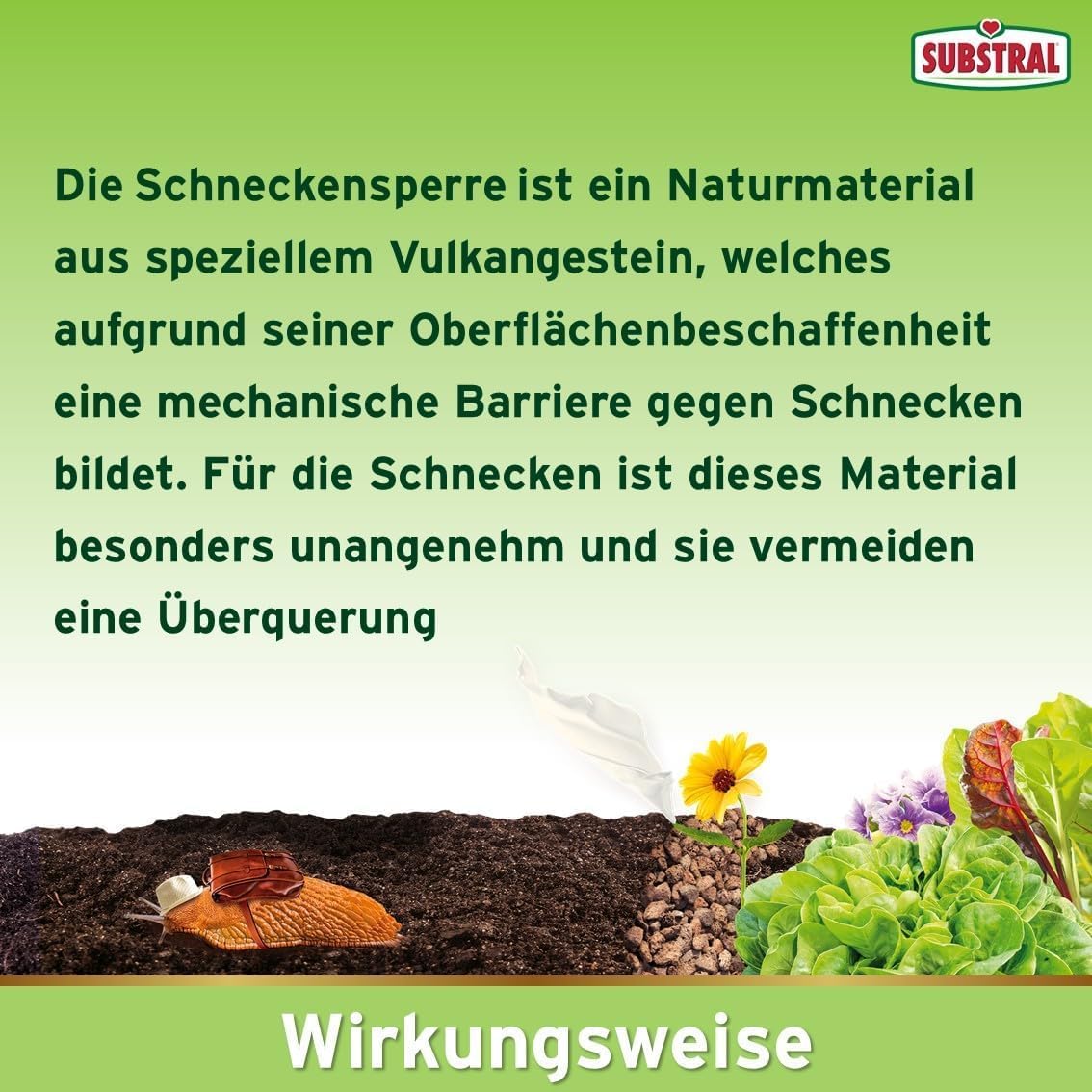 Substral Naturen Bio Schnecken-Sperre, 2,3 kg - Regenbeständige Barriere aus Lavagranulat zur Abwehr von Schnecken — Ansicht 3